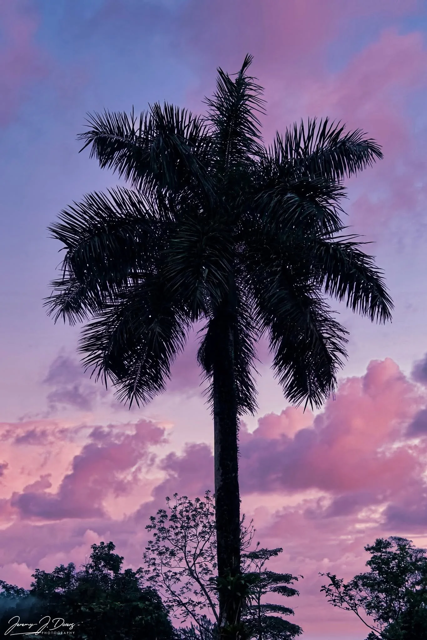 "Tropical Dreamscape" Catarata Ecolodge, Arenal Region, Costa Rica