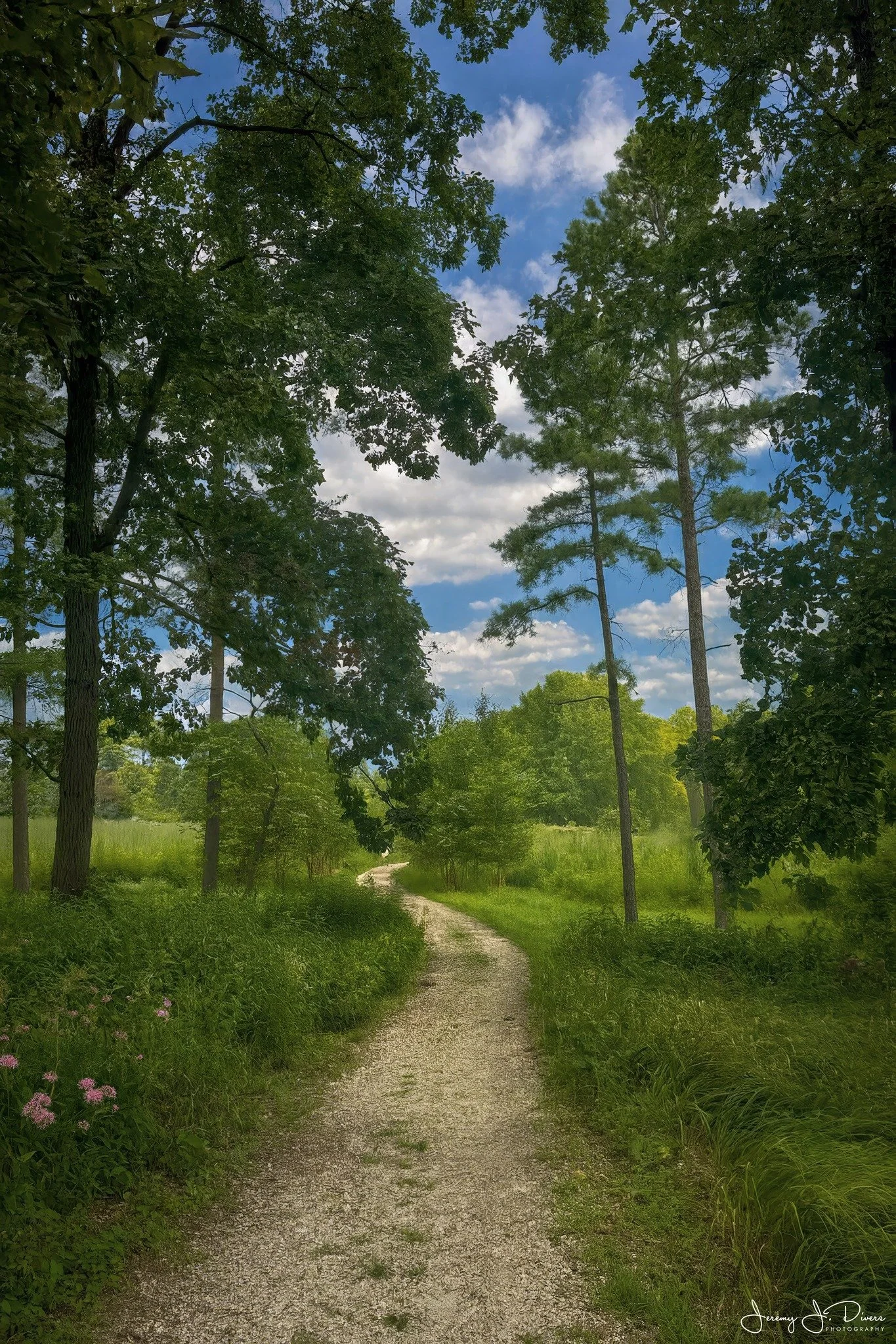 "Along the Trail" Shaw Nature Reserve, Gray Summit, Missouri