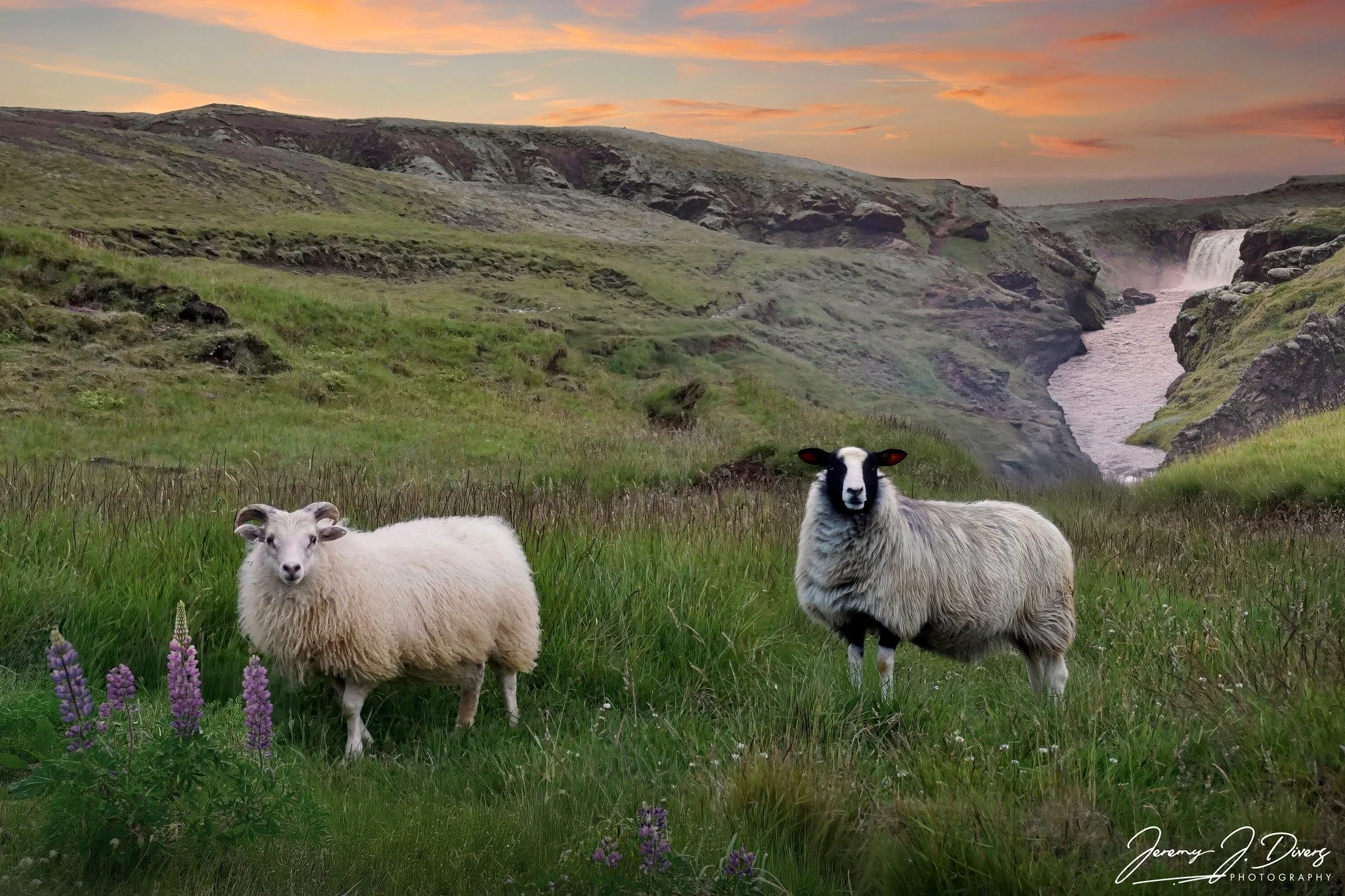 "Residents of Fimmvorduhals" Iceland