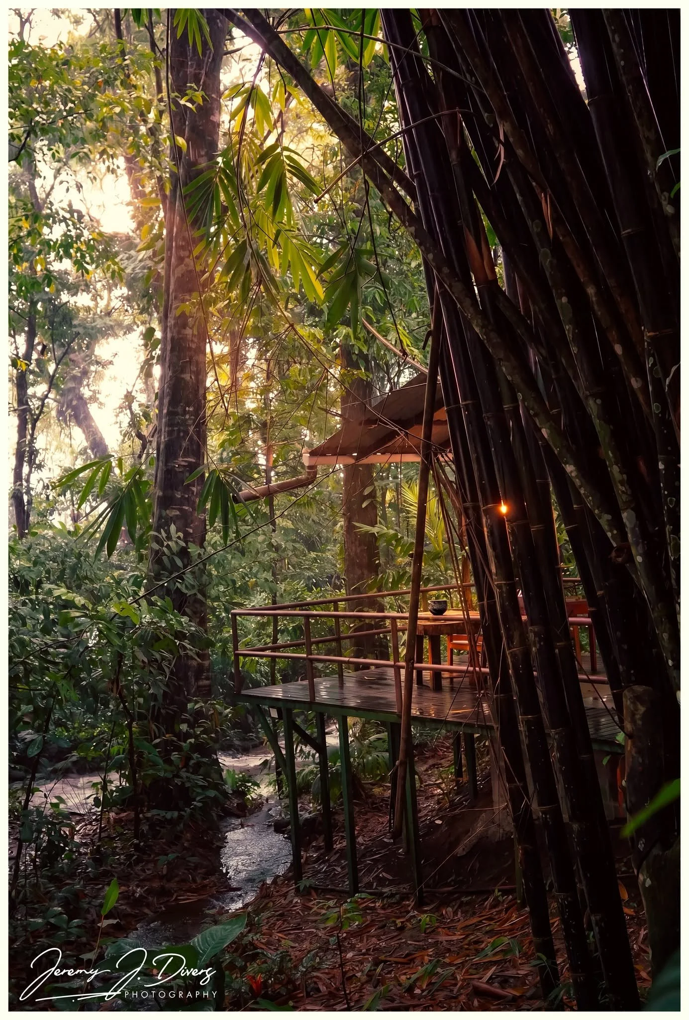 “Hidden Sanctuary in the Rainforest” Catarata Eco-Lodge," La Fortuna, Costa Rica