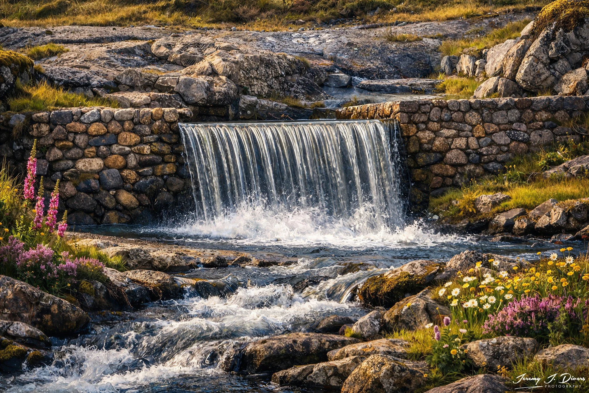 “Wildflowers by the Weir” Vagar, Faroe Islands