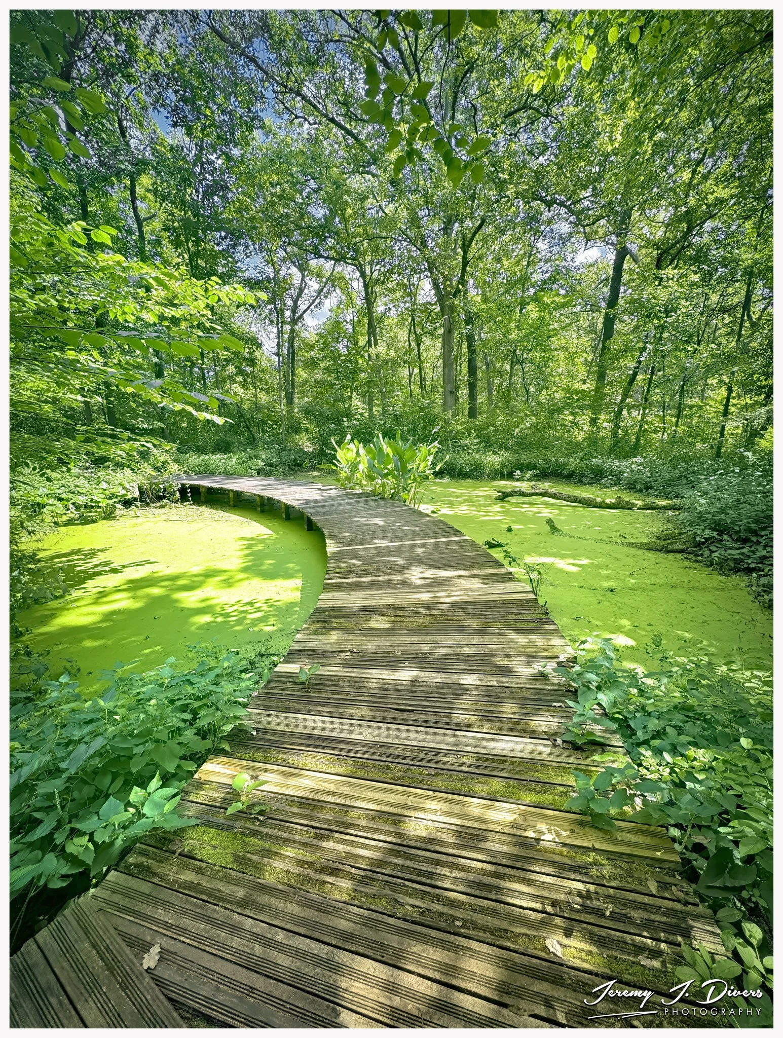 "A Bridge to Nature" (A) Shaw Nature Reserve, Gray Summit, Missouri