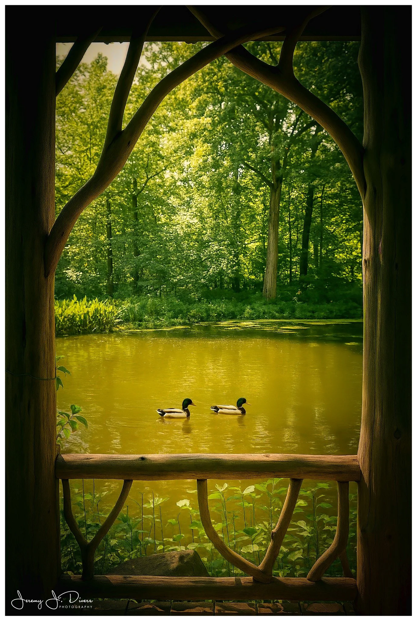 "Framing Nature" Gazebo, Shaw Nature Reserve, Gray Summit, MO