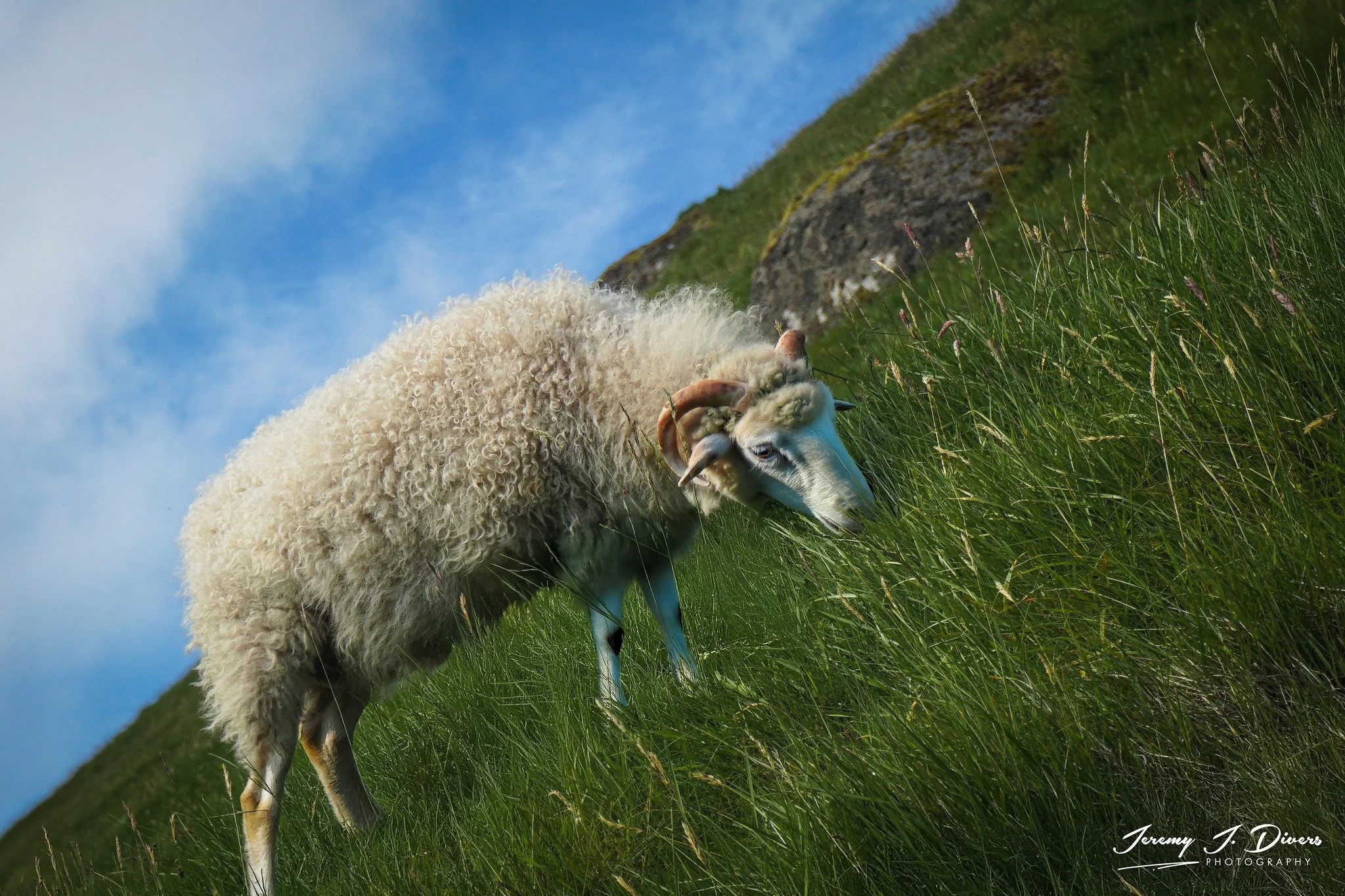 "Defying Gravity" The Cliffs of Kalsoy near the village of Trøllanes, Faroe Islands