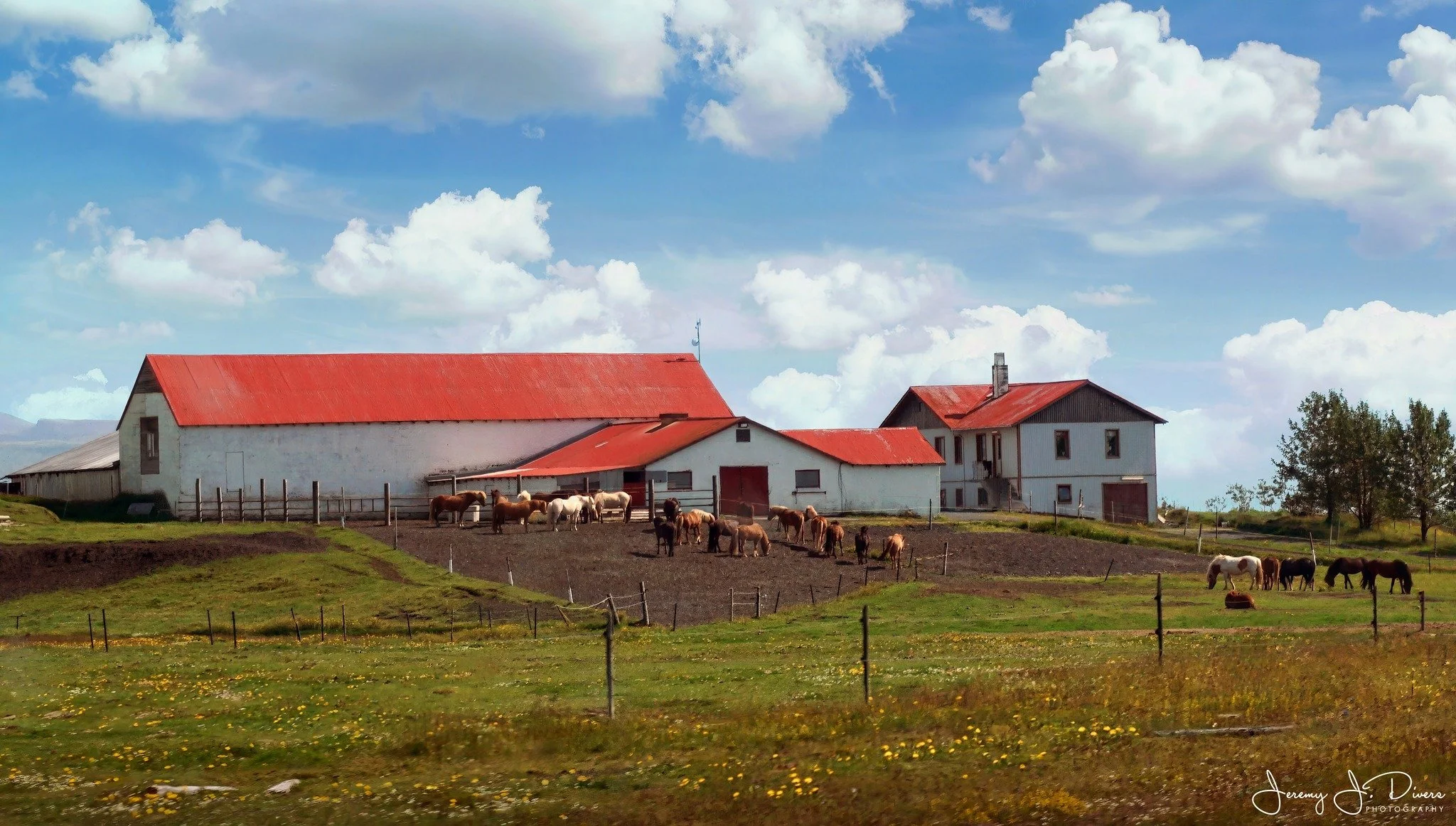 "Icelandic Farmstead" Near Selfoss, Iceland
