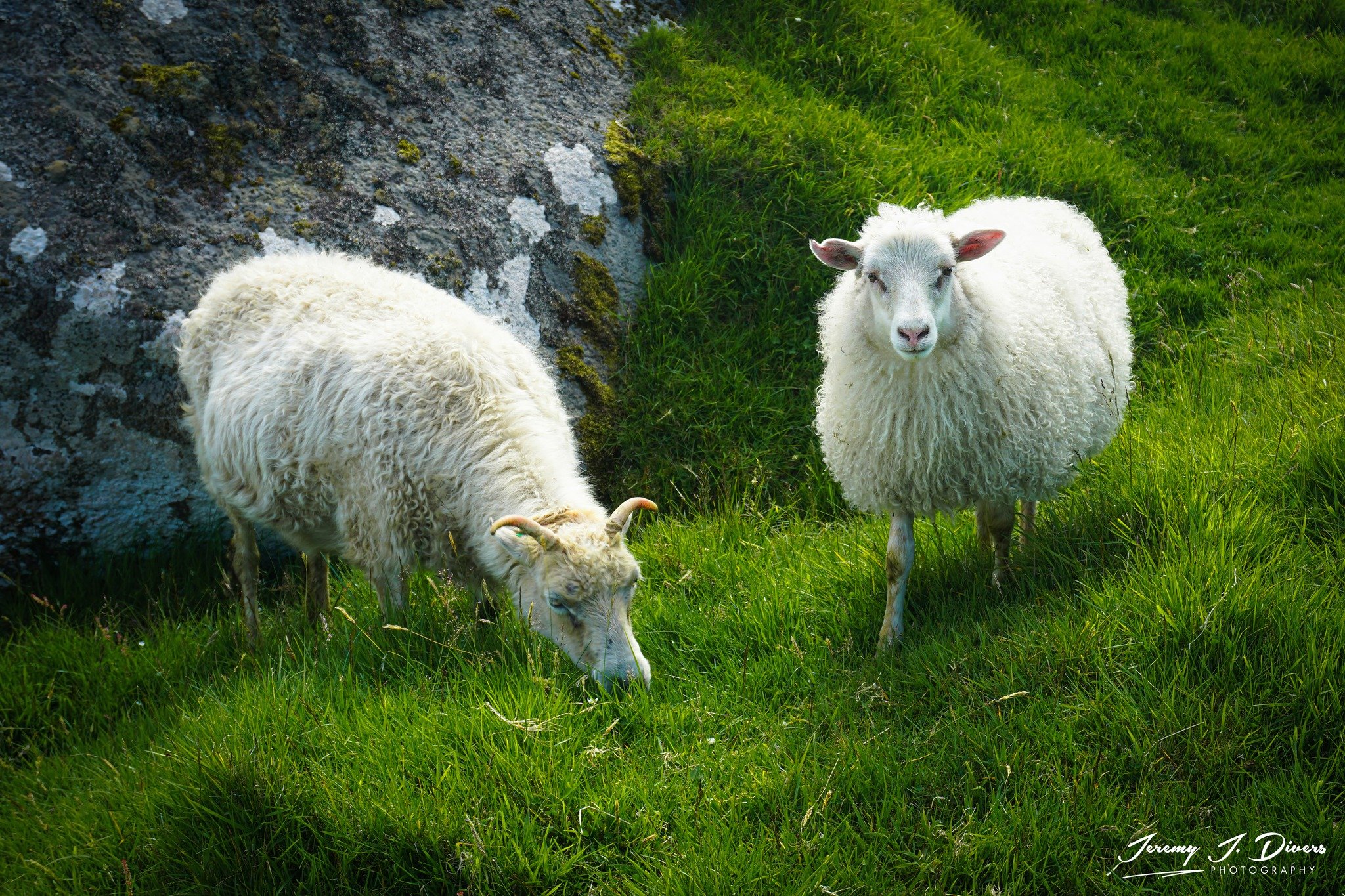 "Residents of Kalsoy Island" (A)