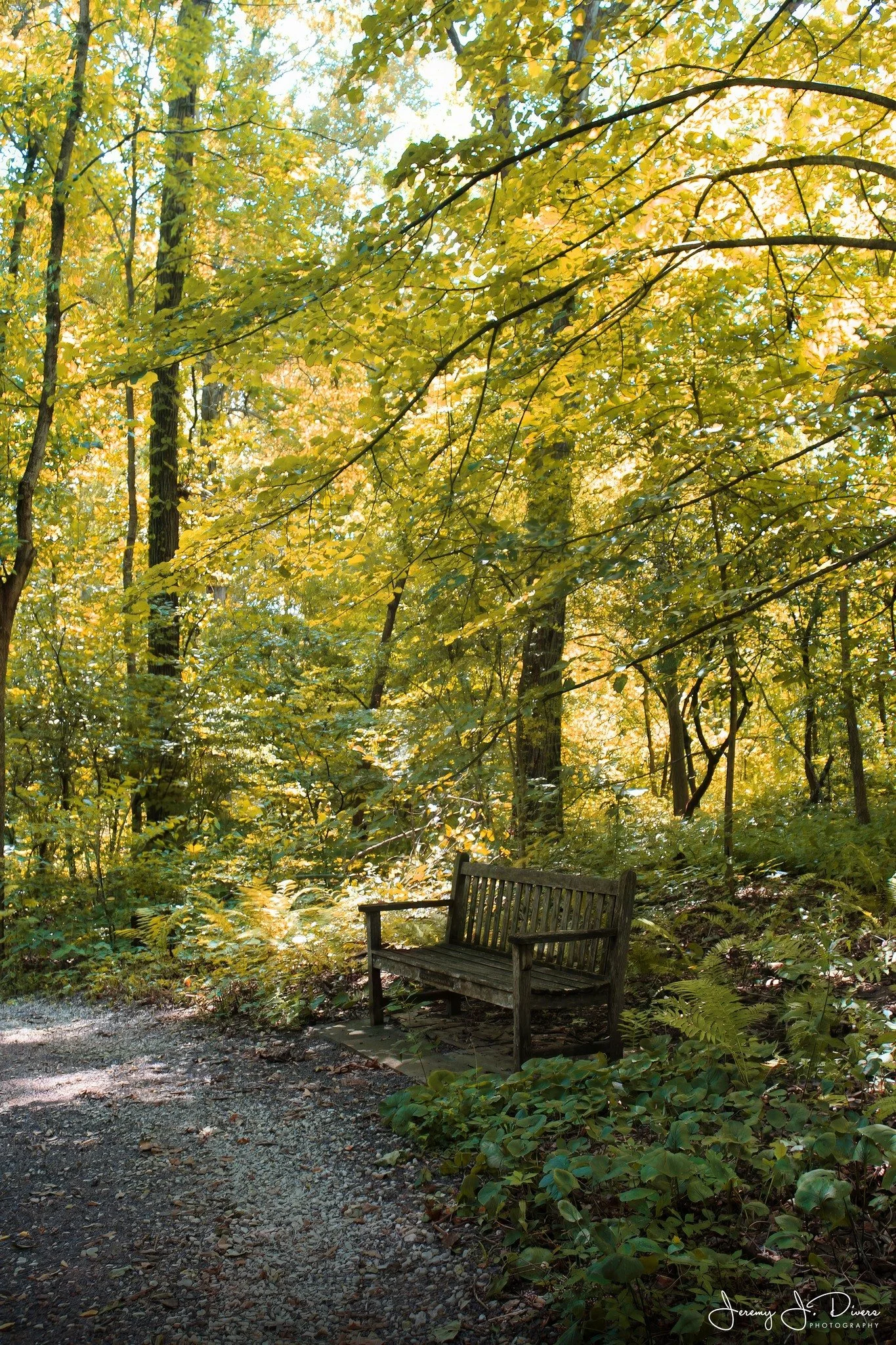 "A Peaceful Spot" Shaw Nature Reserve, Gray Summit, MO