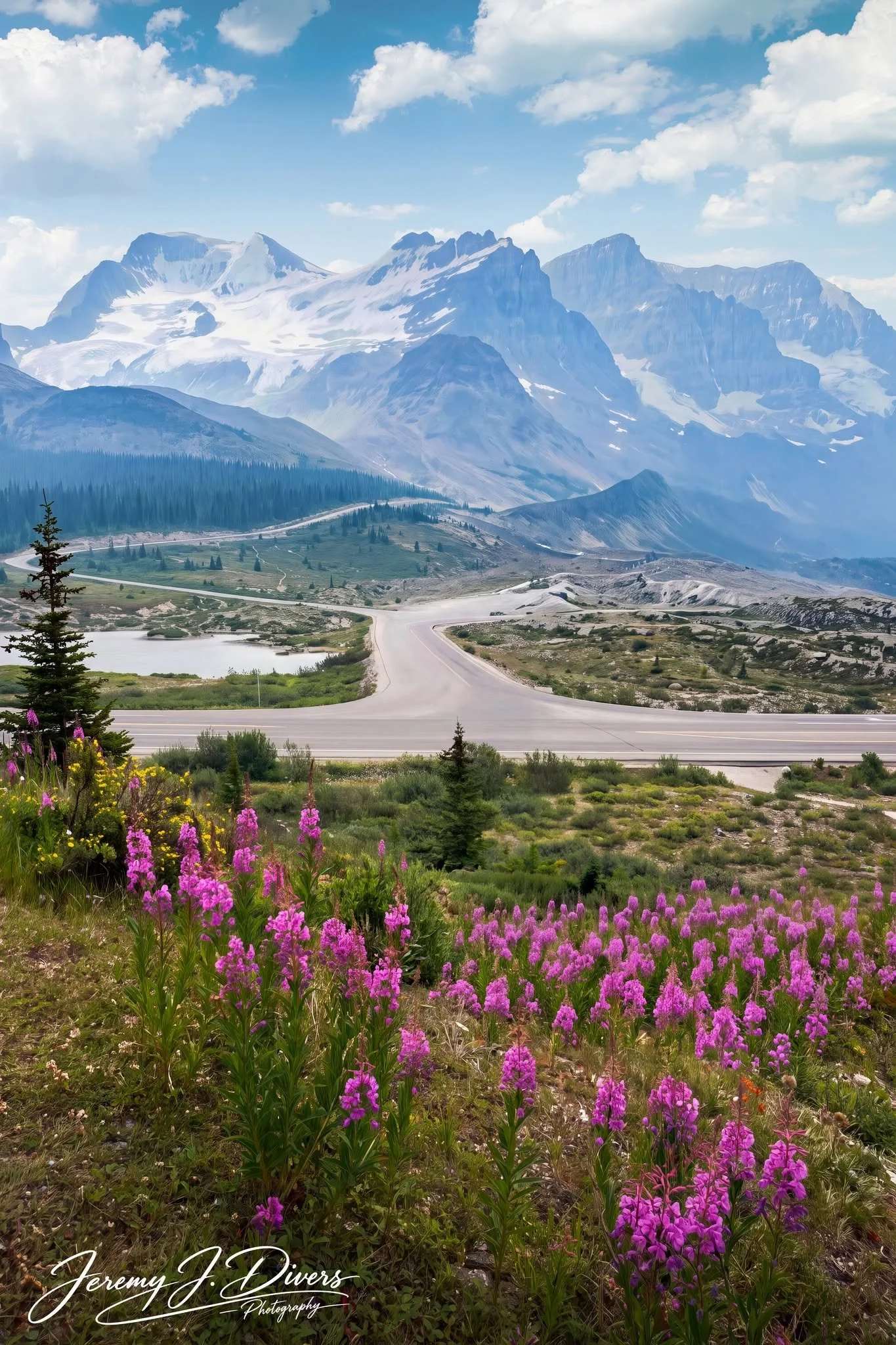 "Alpine Dreams" Jasper National Park, Alberta, Canada