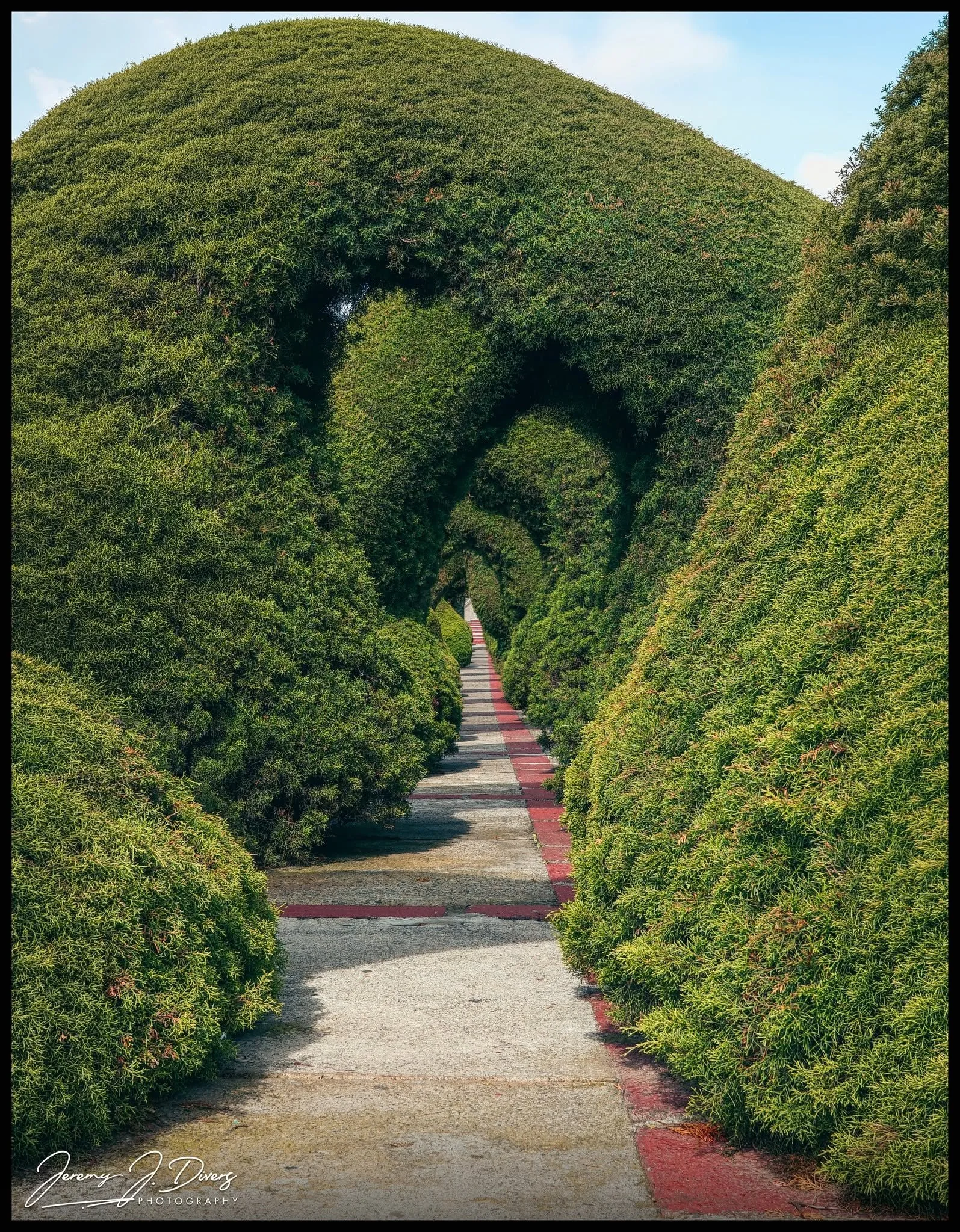 "A View through the Green Arches," Zarcero, Costa Rica