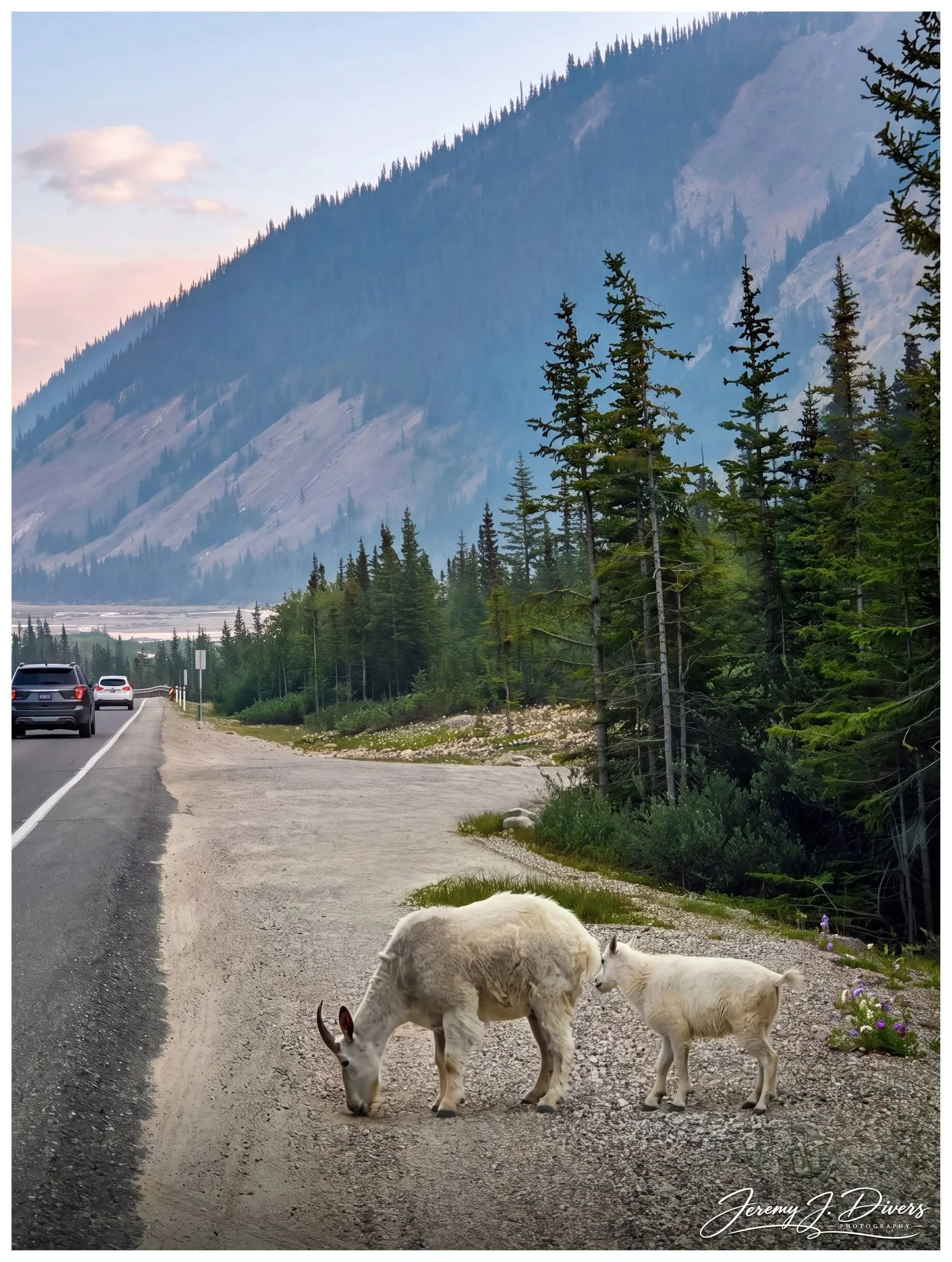 "A Pause Along the Parkway" Banff National Park, Alberta, Canada