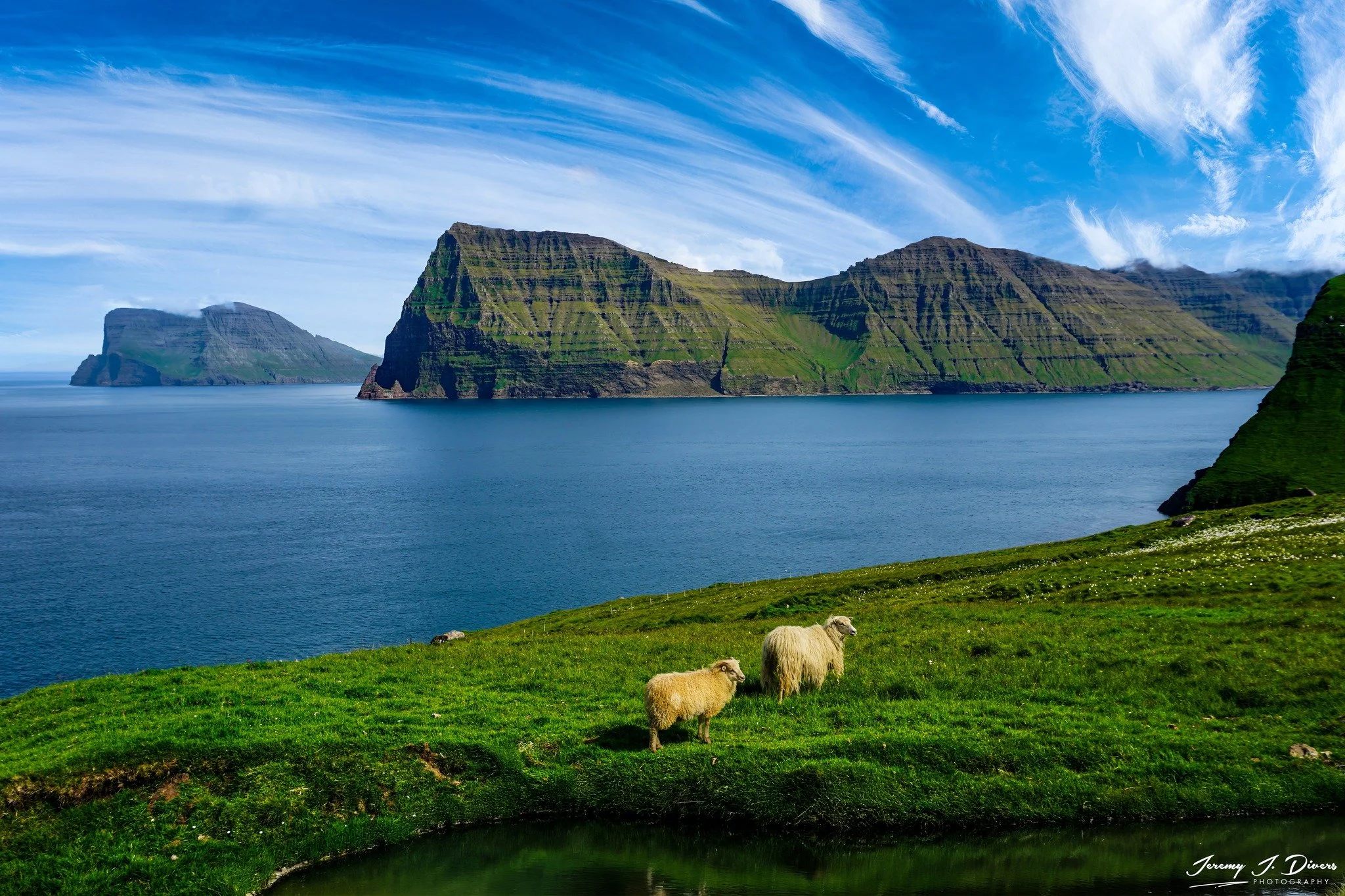 "Sheep Above the North Atlantic" near the village of Trøllanes, Faroe Islands