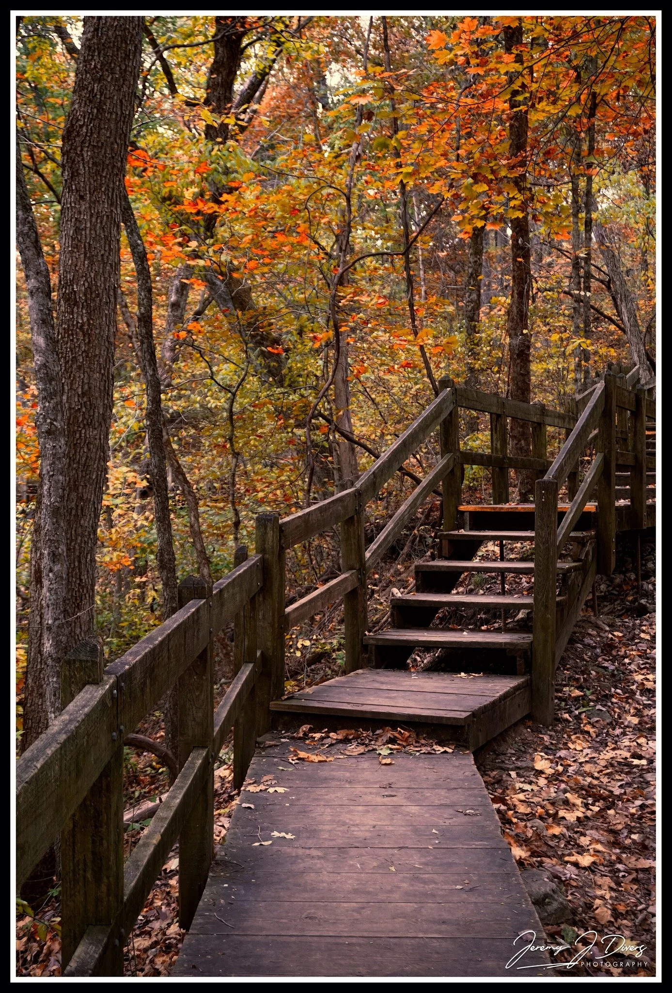 "Stairway to Autumn" Rockbridge State Park, Columbia, MO