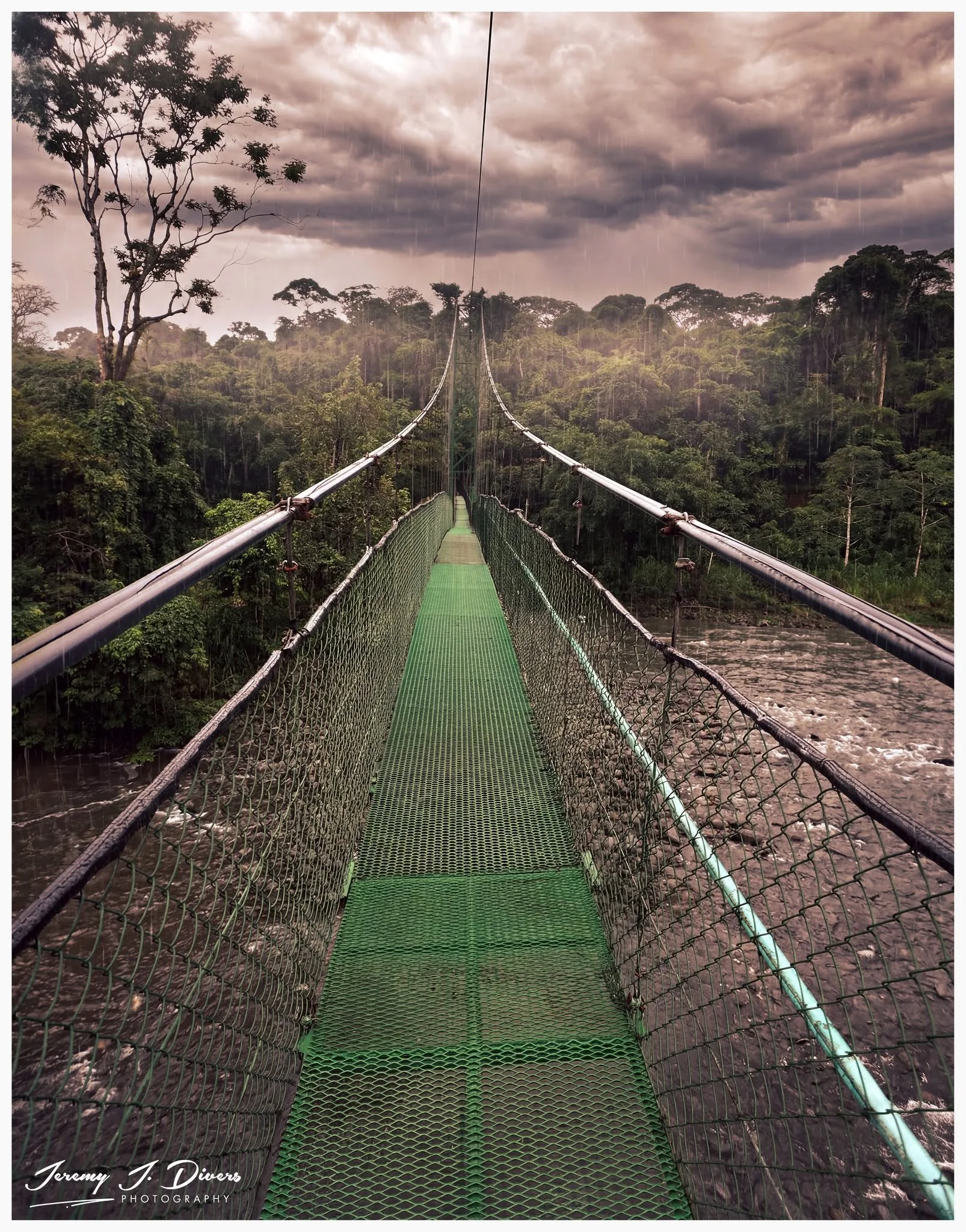 "Stormy Day Along the Hanging Bridge" (A) Tirimbina Biological Reserve, Sarapiquí, Costa Rica