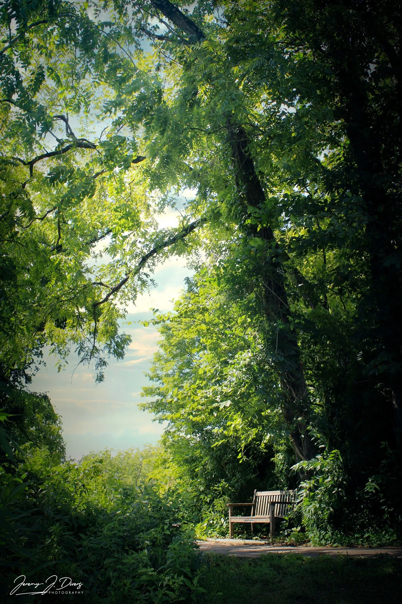 "A Quiet Place" Shaw Nature Reserve, Gray Summit, MO