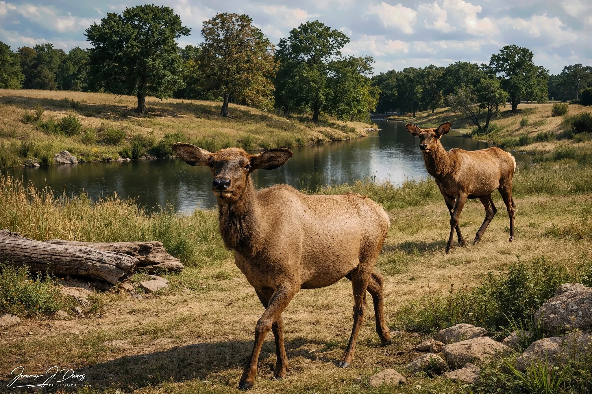 "Riverbank Wanderers" Branson Safari Park 