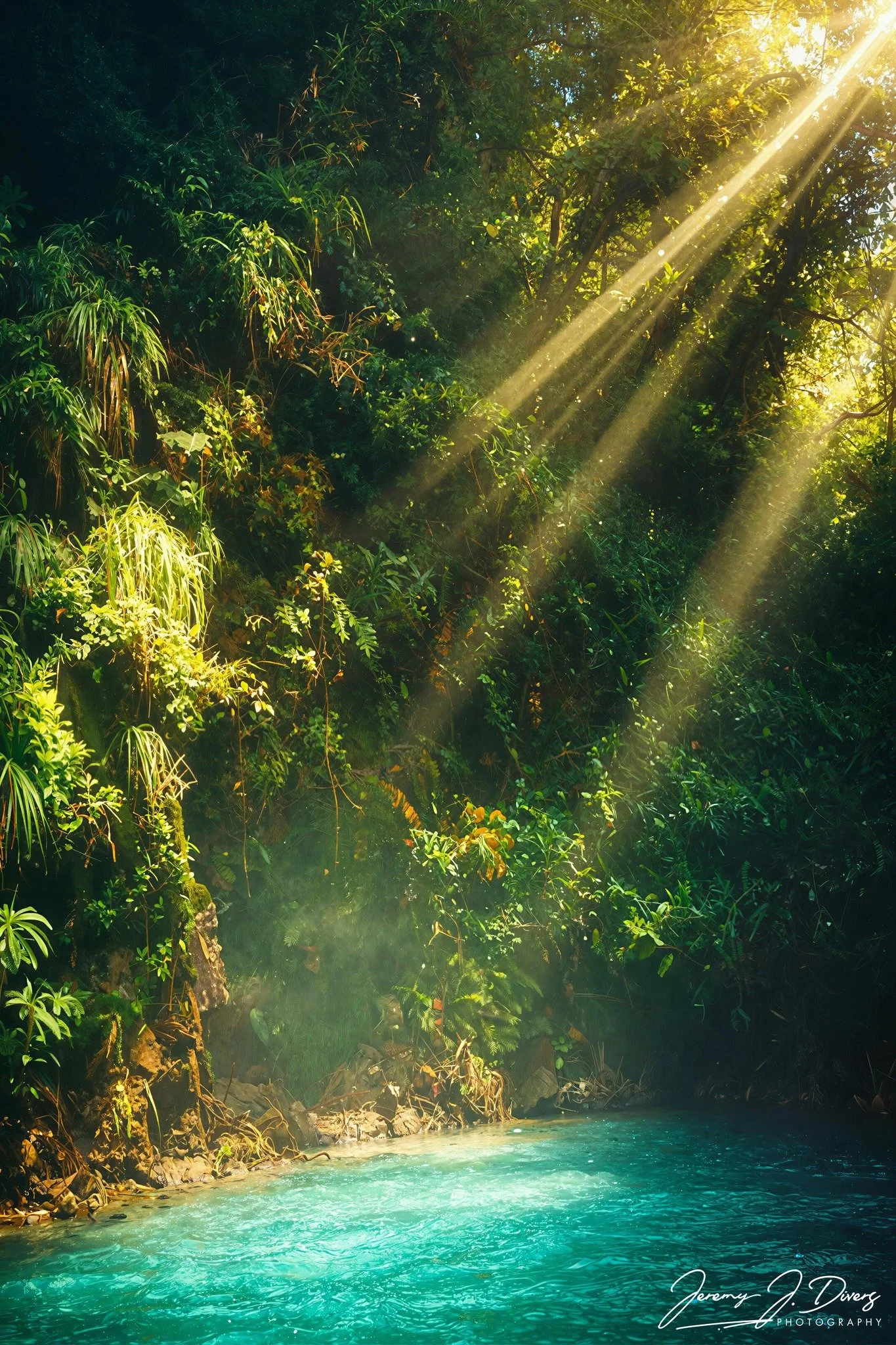 “Emerald Sanctuary” Puerto Plata, Dominican Republic