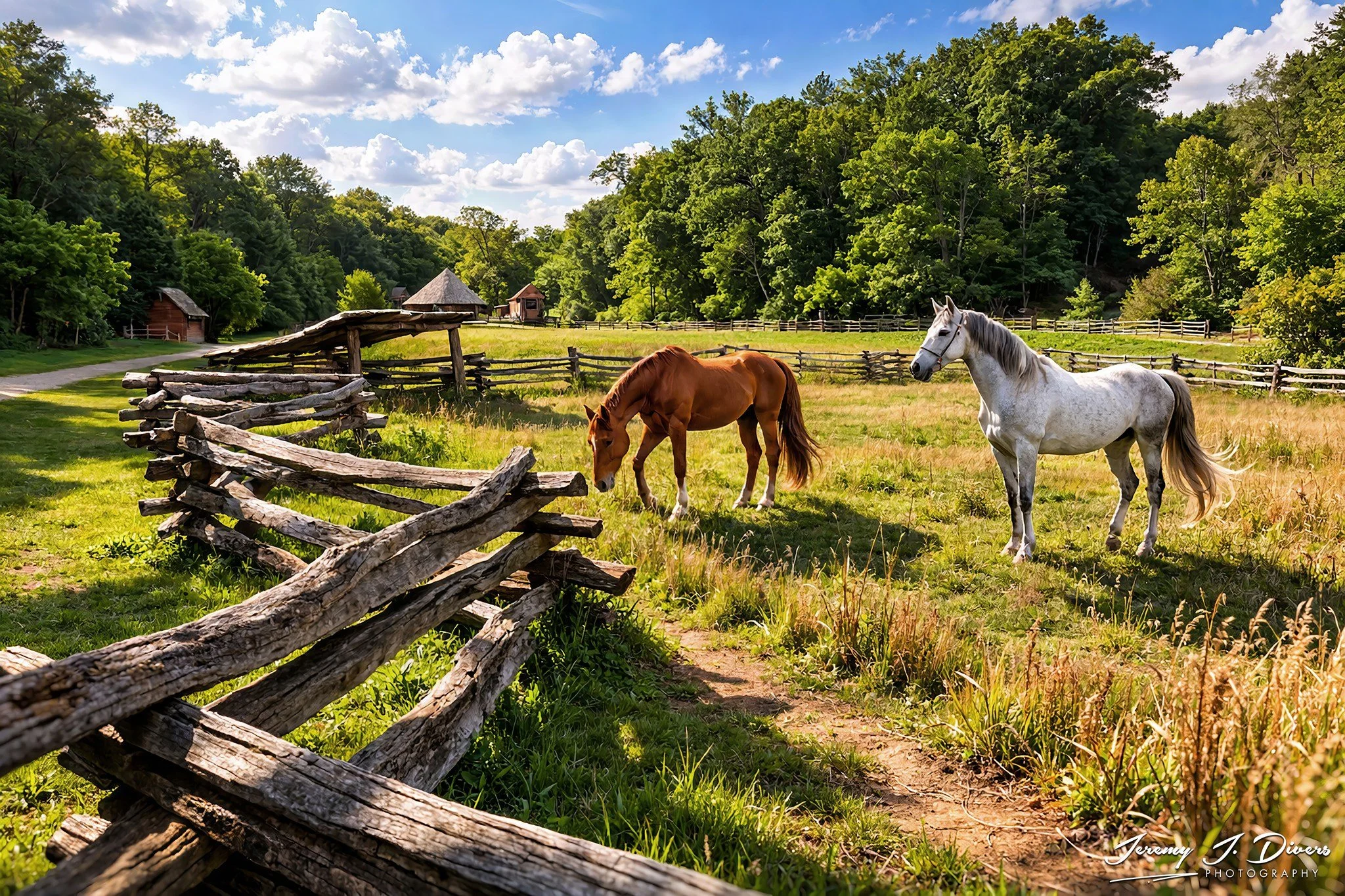 "Two Horses, One Horizon" Mount Vernon, Virginia