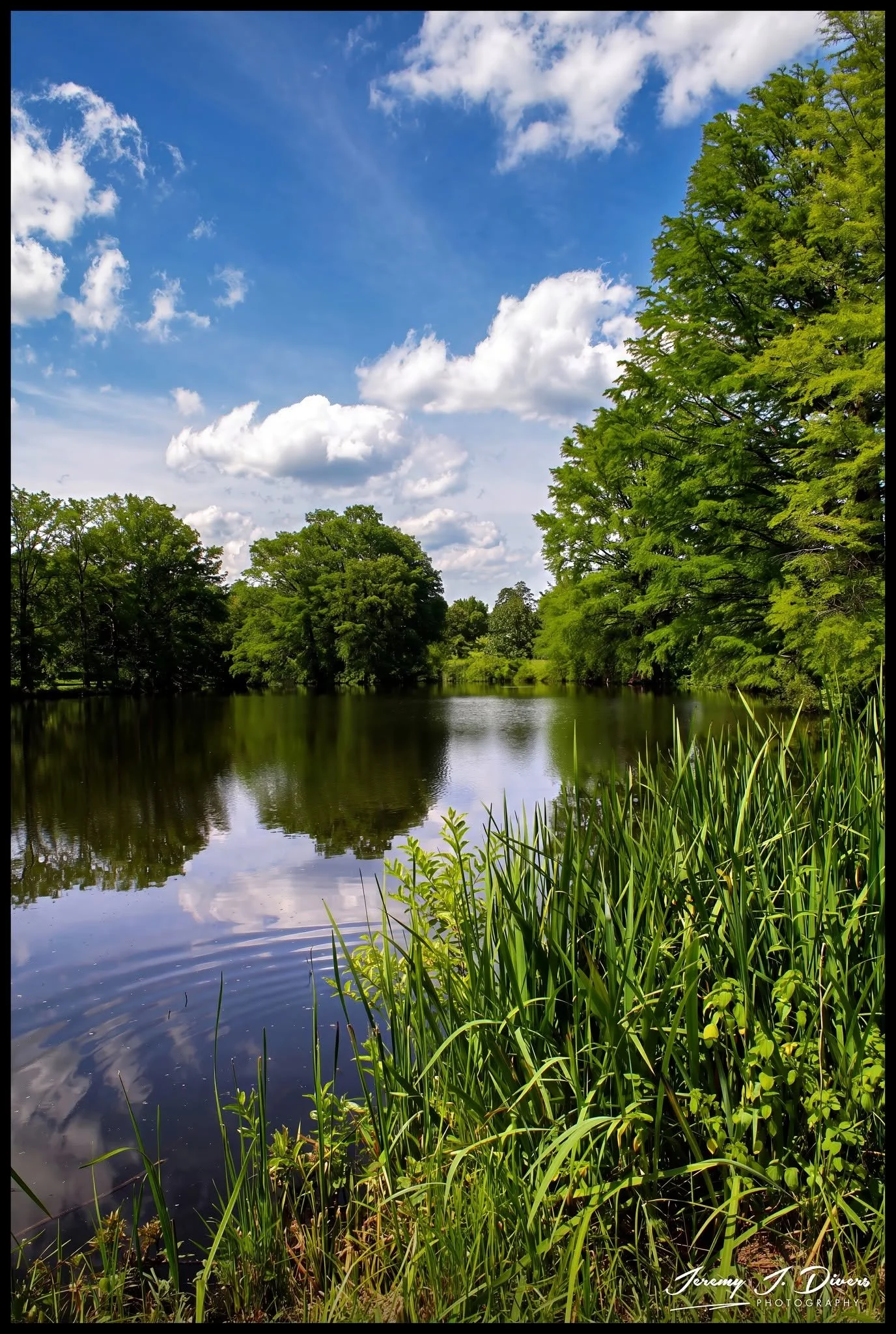 "Views from Cypress Lake," (D) Shaw Nature Reserve, Gray Summit, MO