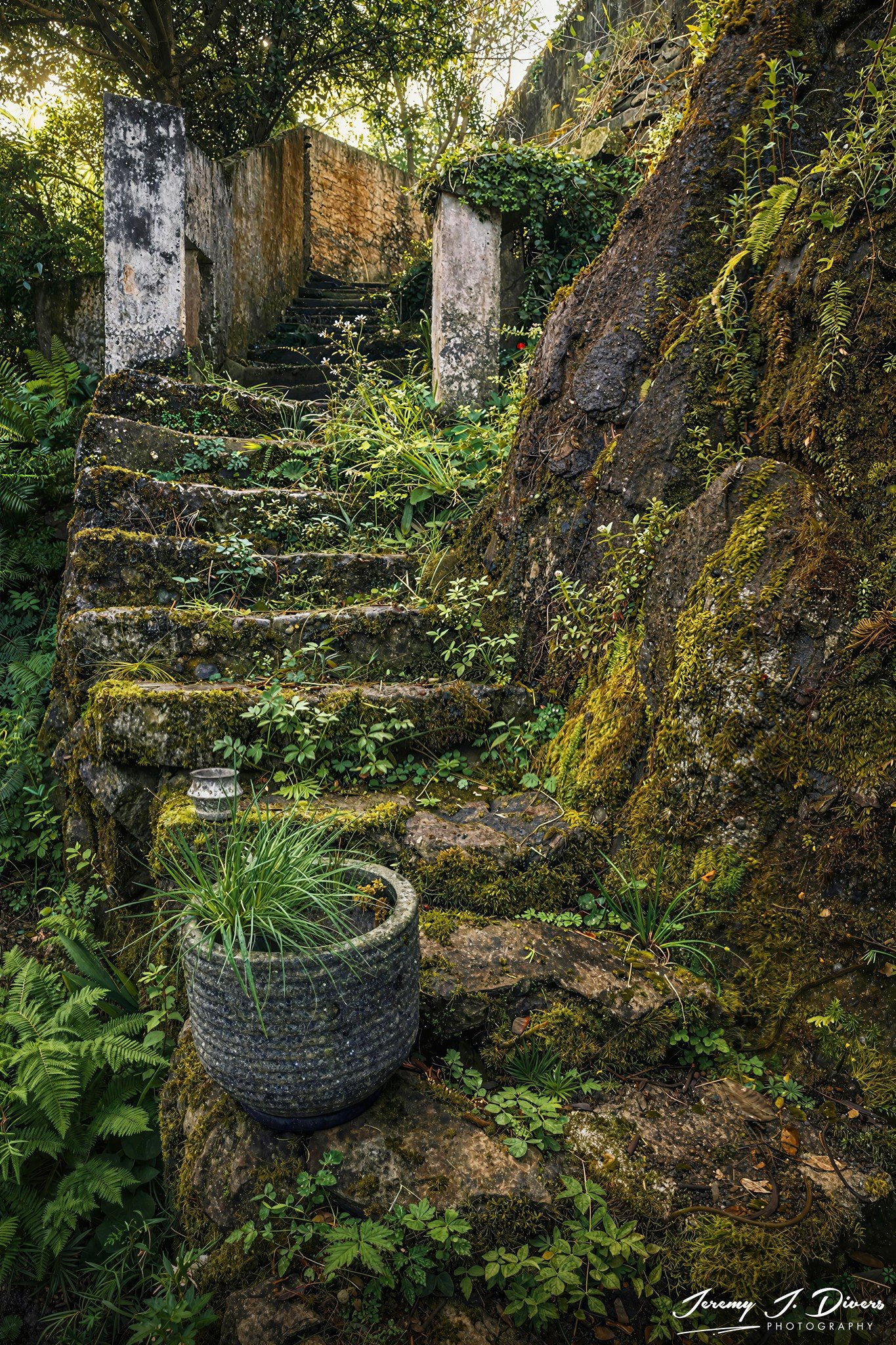 "Echoes in Stone and Green" Tórshavn, Faroe Islands