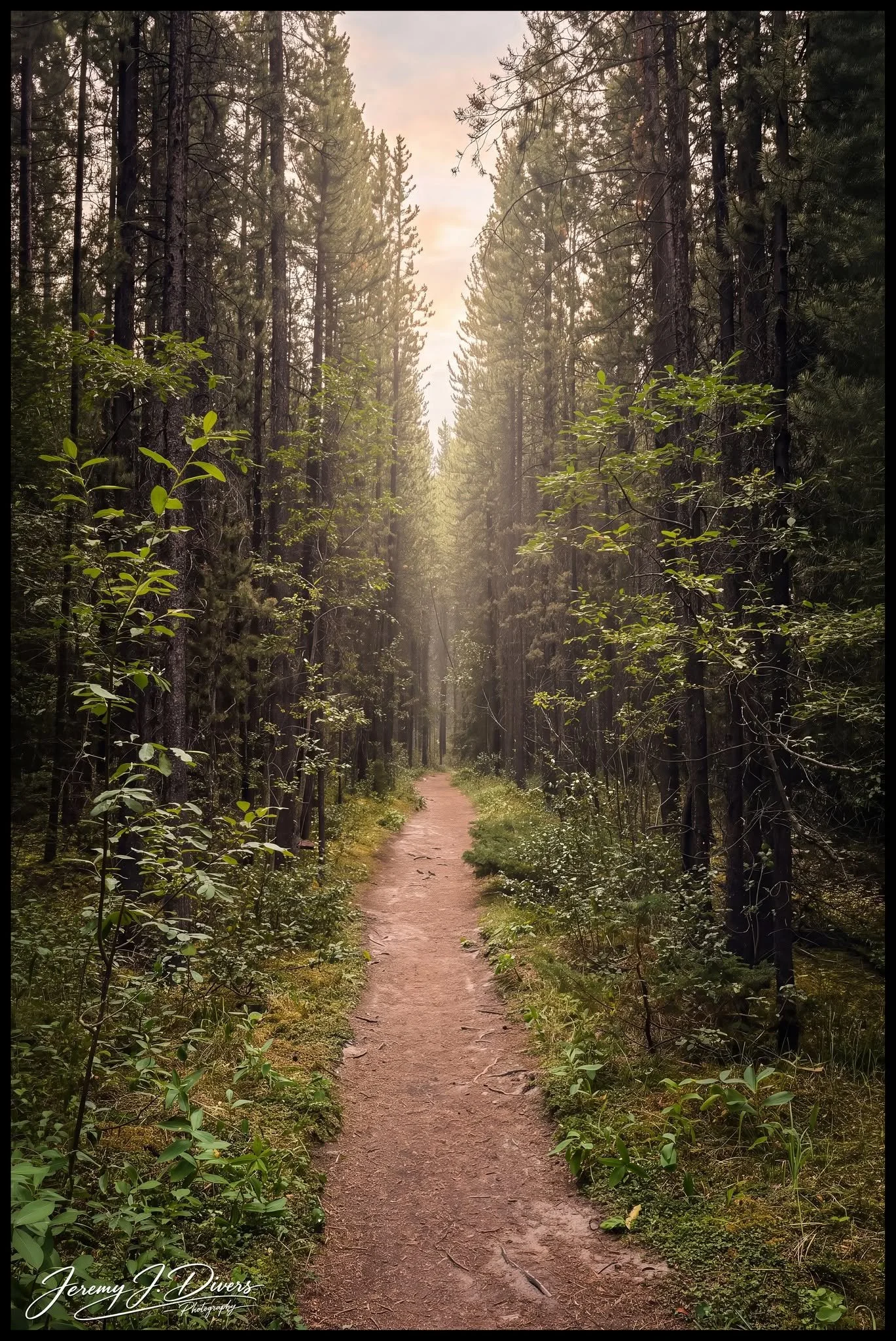 "Into the Golden Silence" Banff National Park, Alberta, Canada