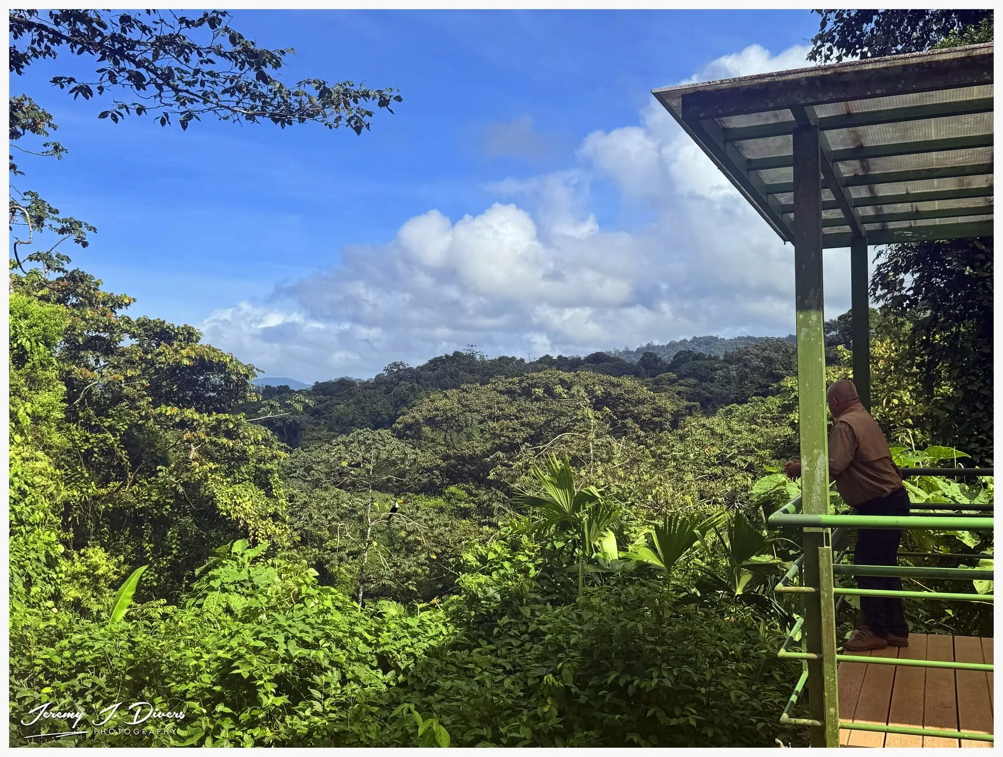 "Jungle Overlook" Arenal Volcano National Park, Costa Rica