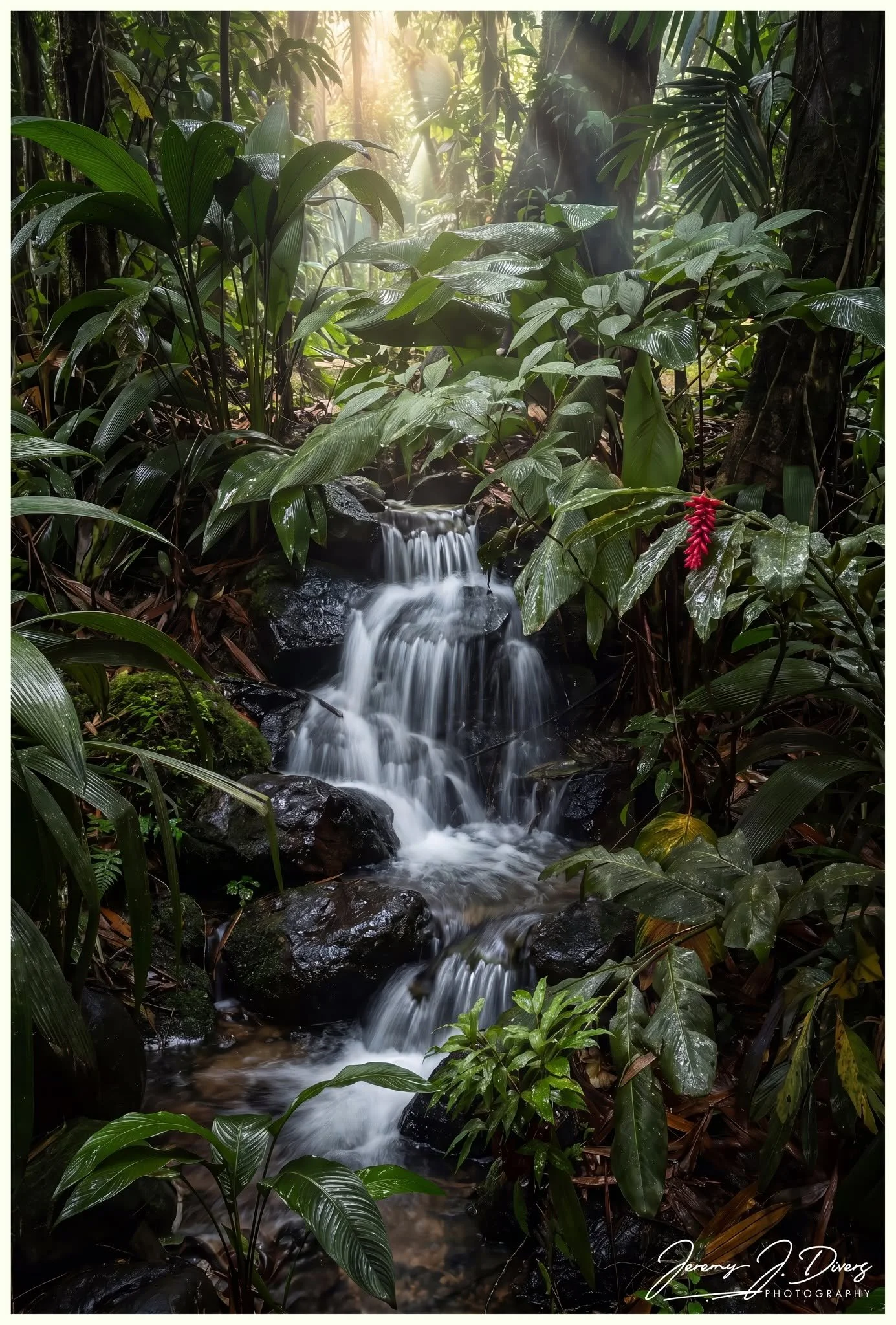 "Hidden Rainforest Waterfall" Finca Educativa Don Juan in La Fortuna, Costa Rica