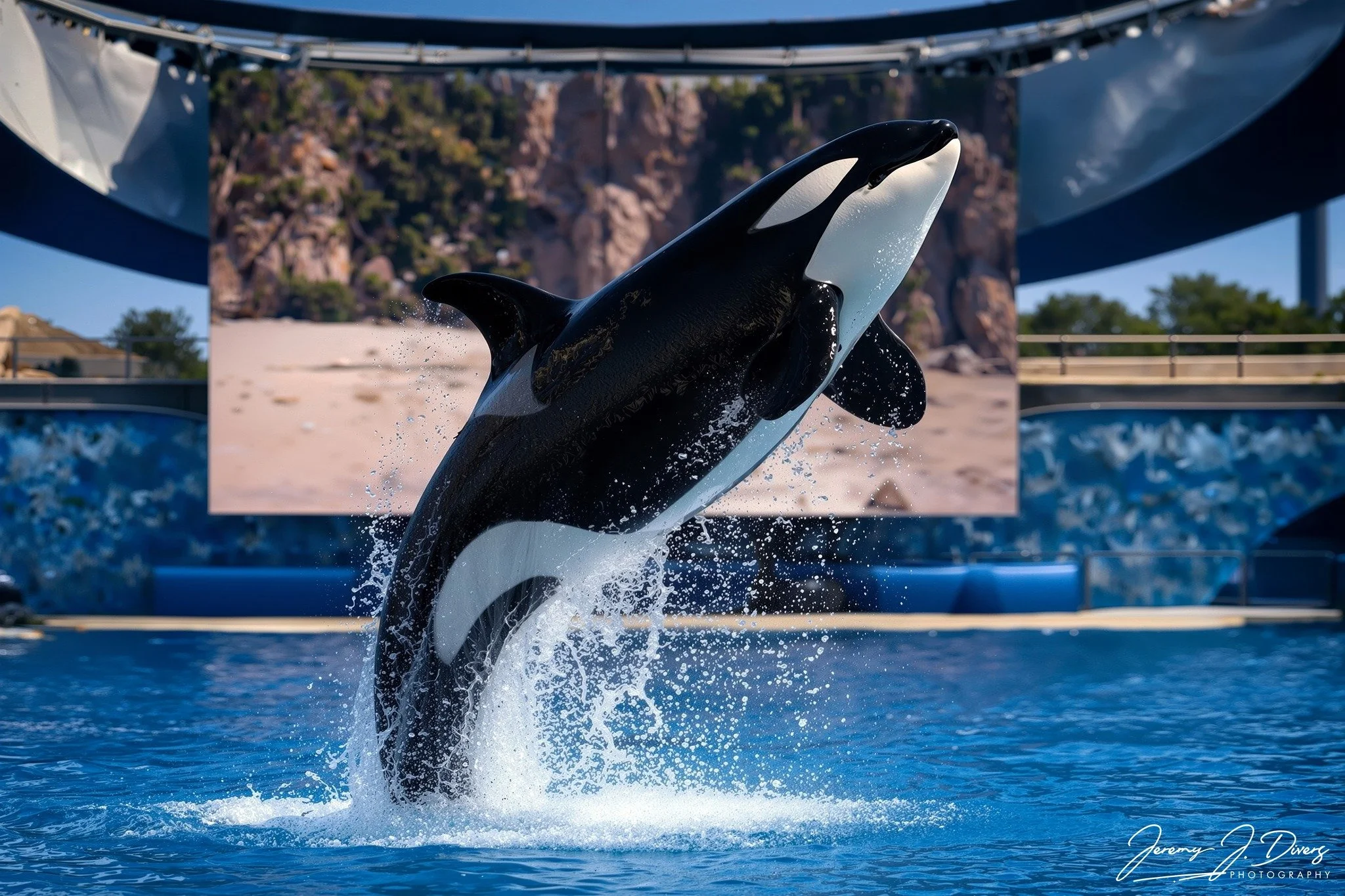 "Shamu" (A) Sea World, San Diego, California