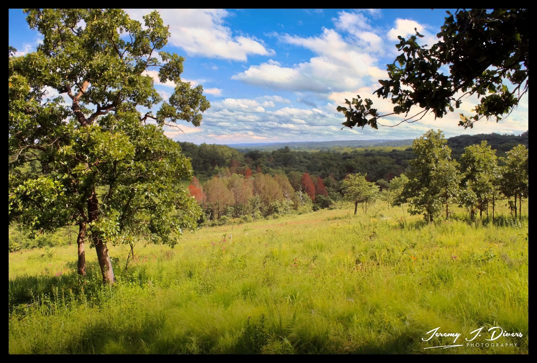 "Where the Meadow Meets the Sky" Shaw Nature Reserve, Gray Summit, MO