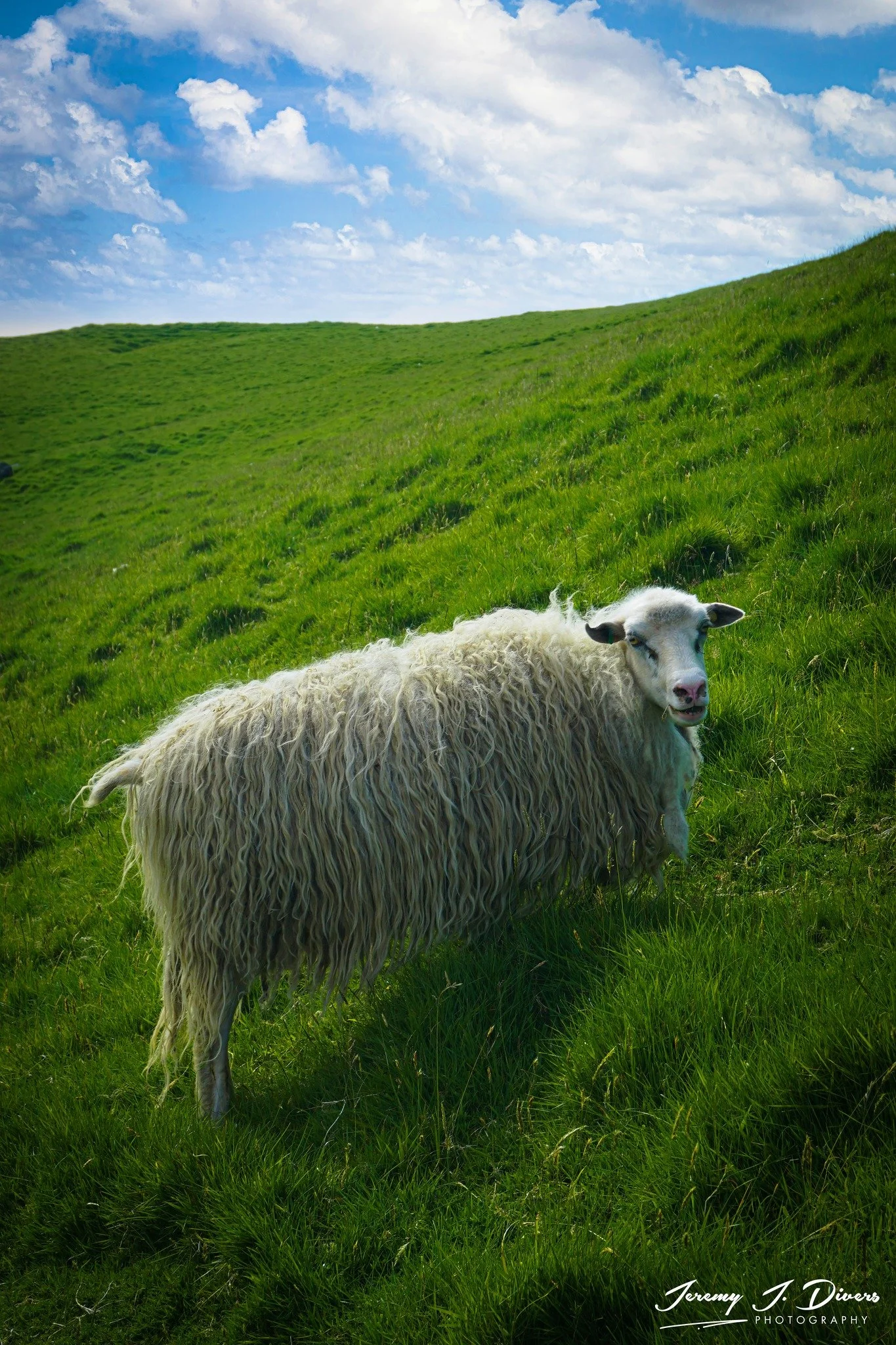 "Residents of Kalsoy Island" (D)