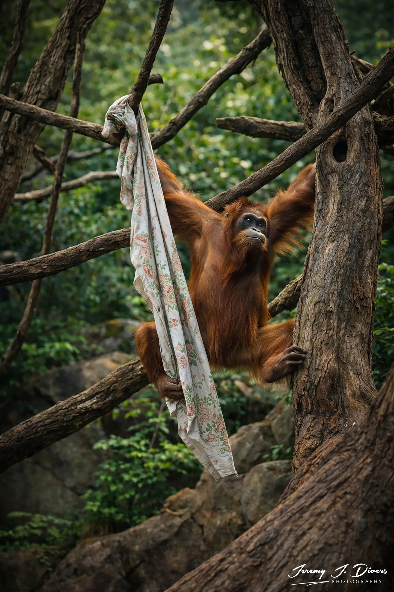 "Caught in the Act" San Diego Zoo, California