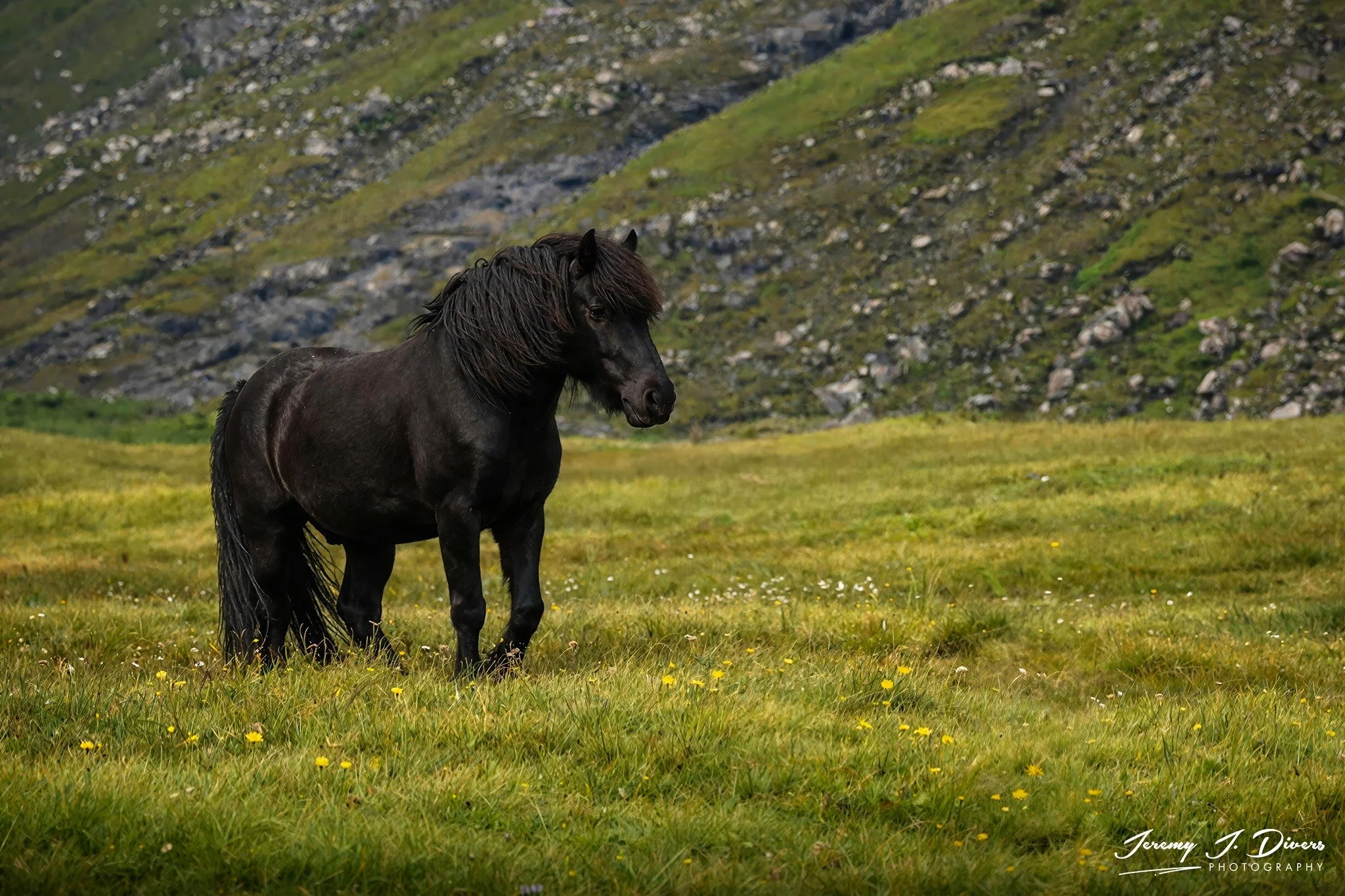 "Black Beauty" Saksun Village, Streymoy Island, Faroe Islands