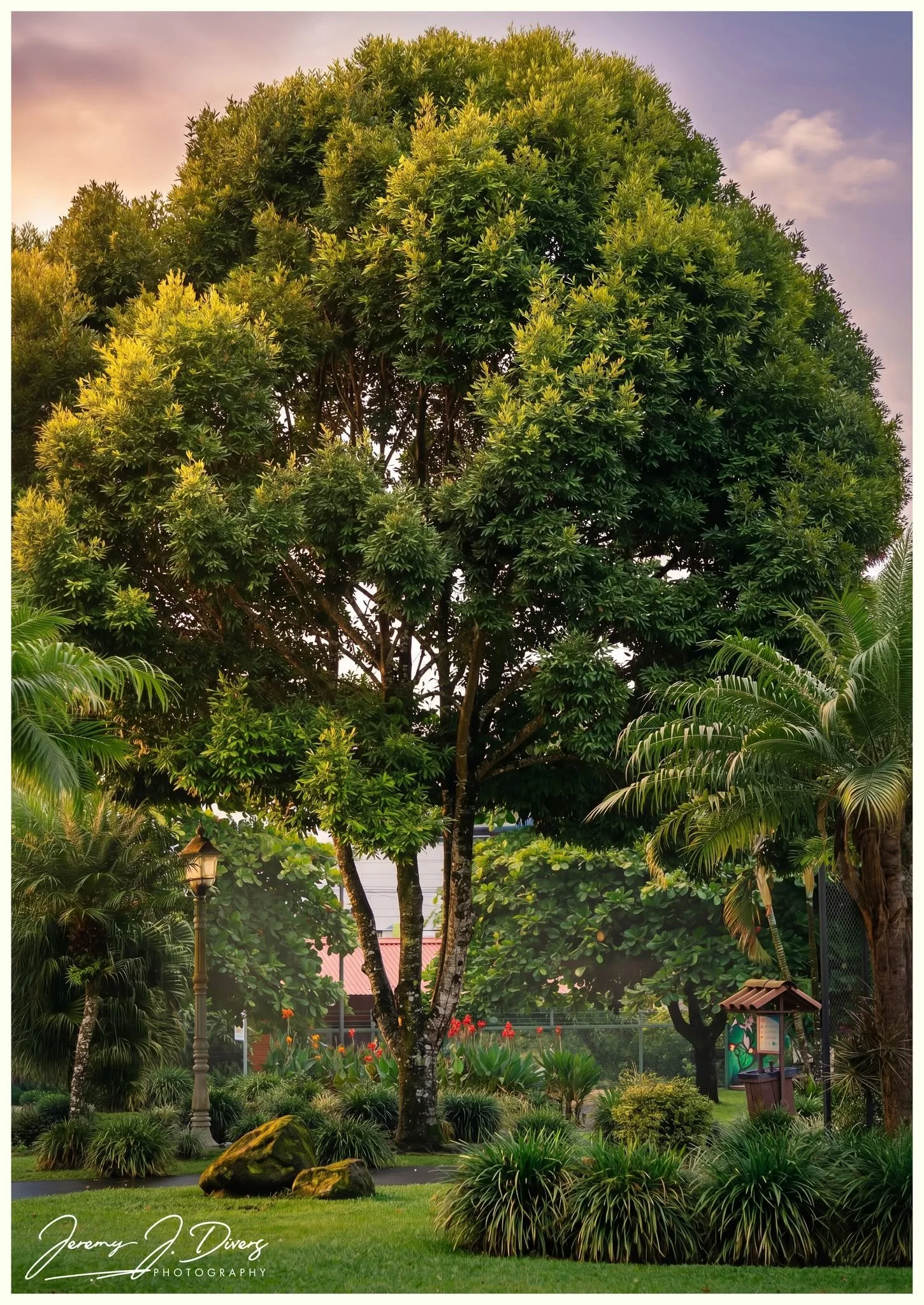 "Beauty in the Park" La Fortuna, Costa Rica