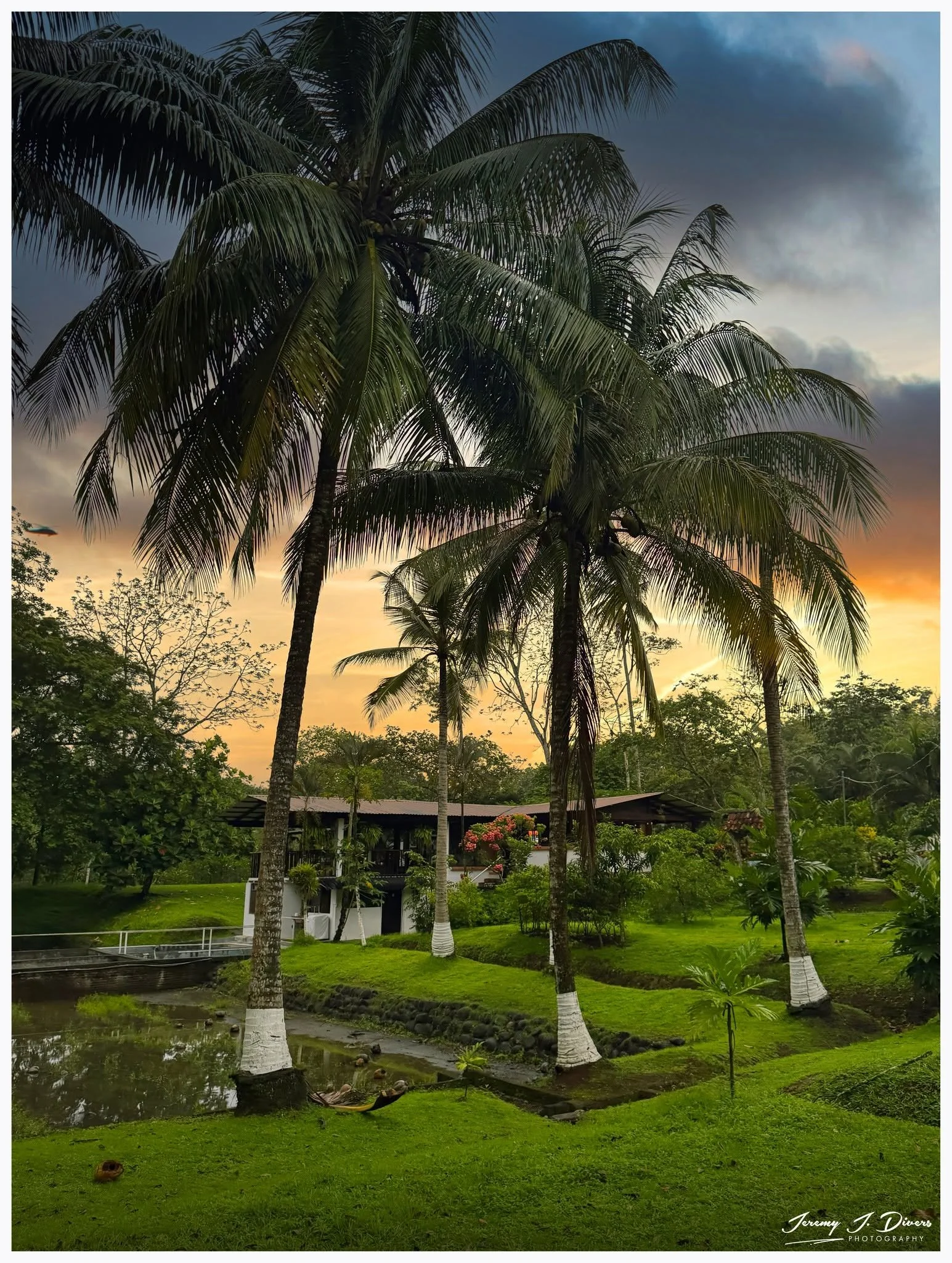 "Where the Palms Hold the Sunset" Hotel La Hacienda, Alajuela Province, Costa Rica