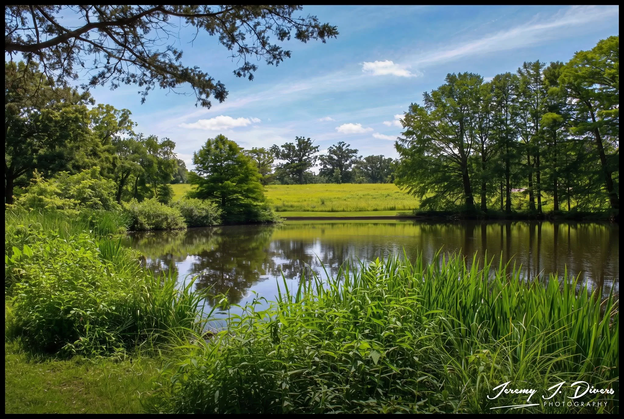 "Views from Cypress Lake," (F) Shaw Nature Reserve, Gray Summit, MO