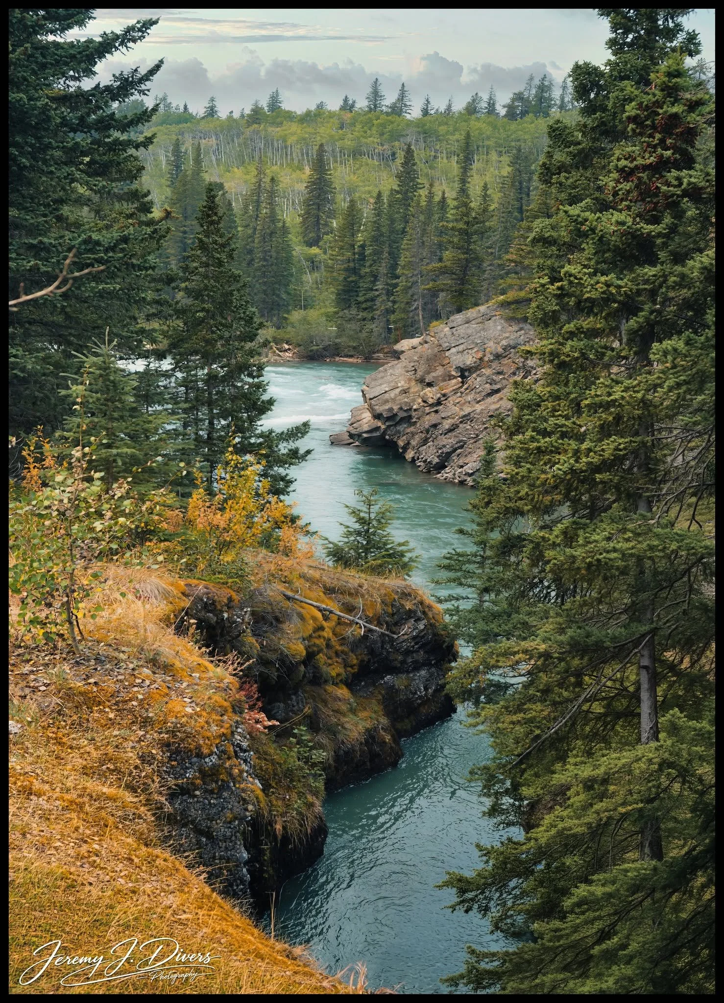 "Turquoise Through the Timber" Banff National Park, Alberta, Canada