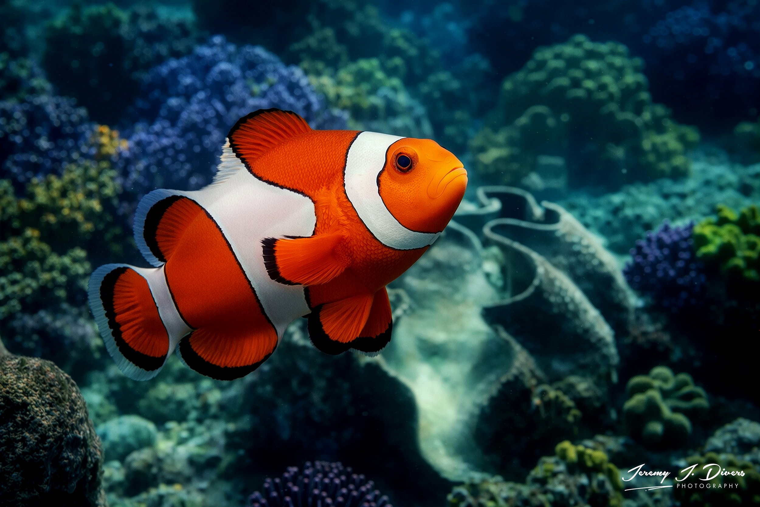 "Clown Fish" Great Barrier Reef, Near Cairns, Australia