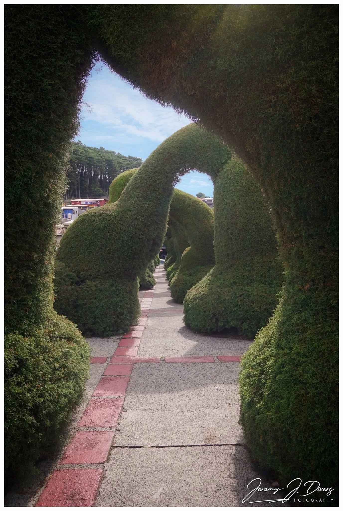 "Through the Living Arches" Zarcero, Costa Rica