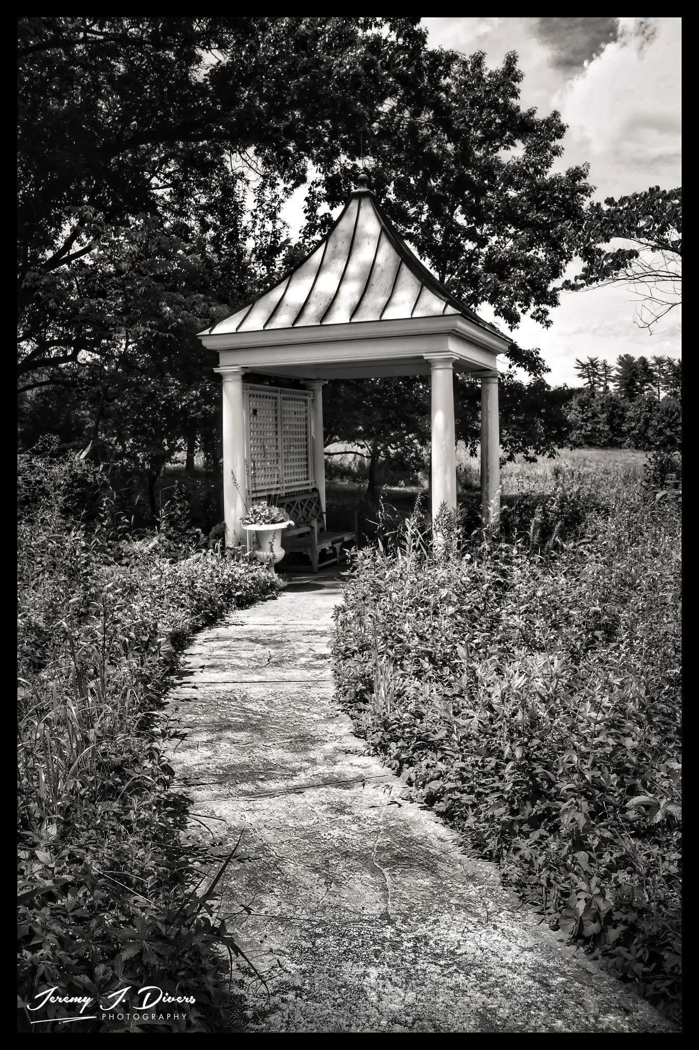 "The Garden’s Quiet Invitation" Shaw Nature Reserve, Gray Summit, MO