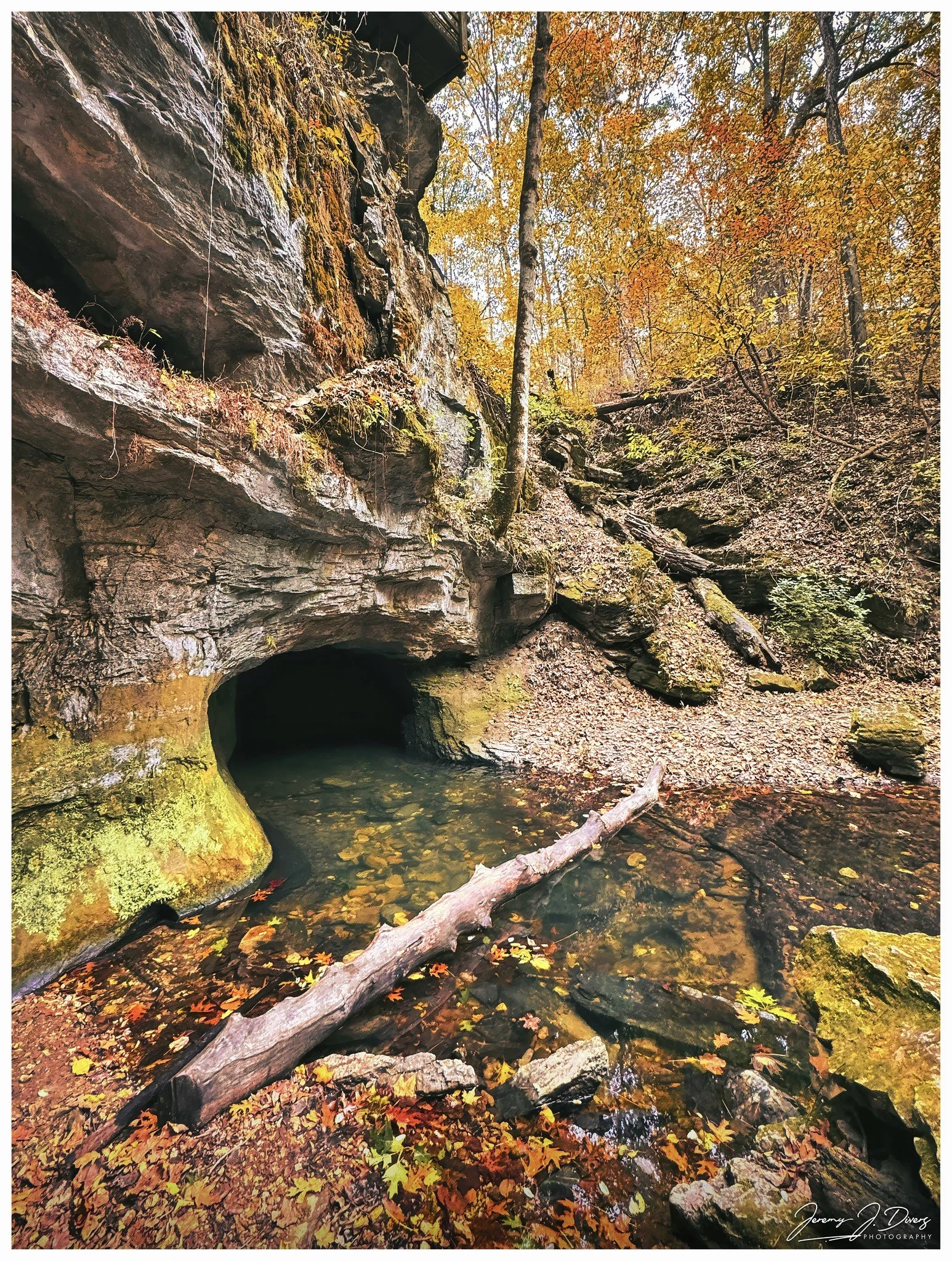 "Cave Stream" Rockbridge State Park, Columbia, M