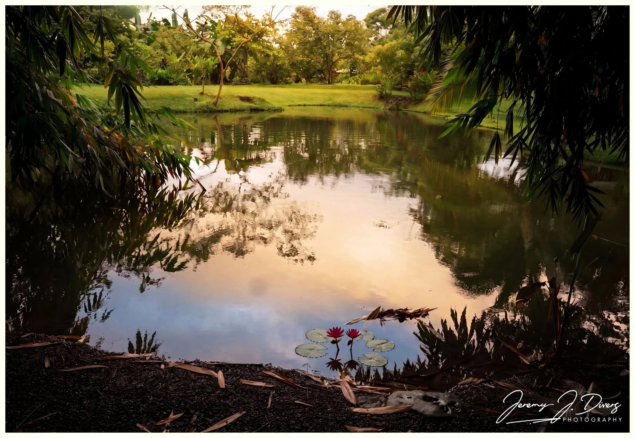 “Reflections of the Rainforest” Finca Educativa Don Juan in La Fortuna, Costa Rica