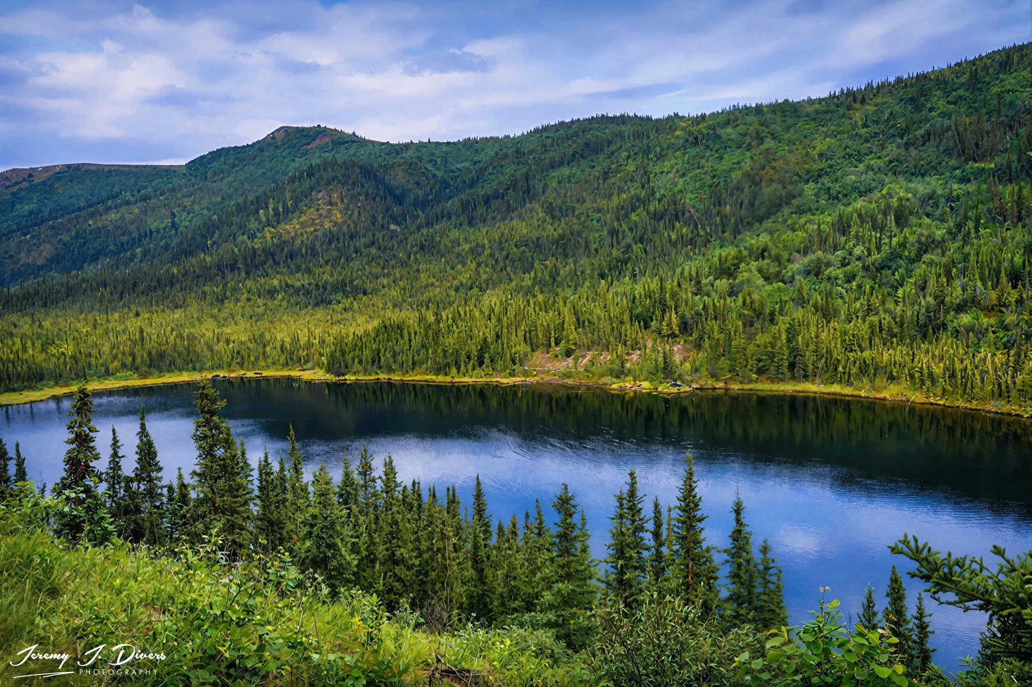 "Whispering Pines, Silent Waters" Chena River, Alaska