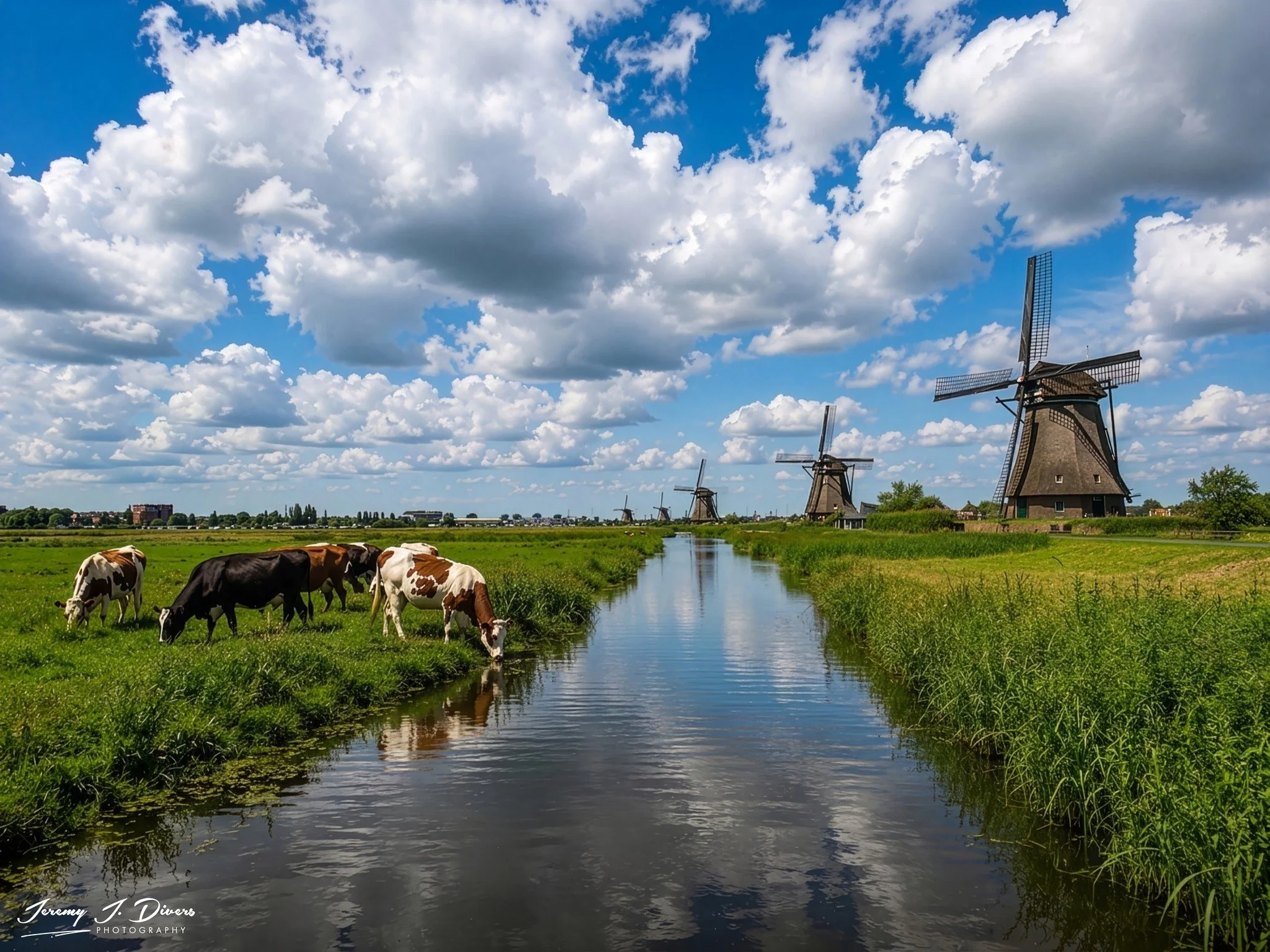 “Pastoral Reflections of Kinderdijk” Kinderdijk, Netherlands
