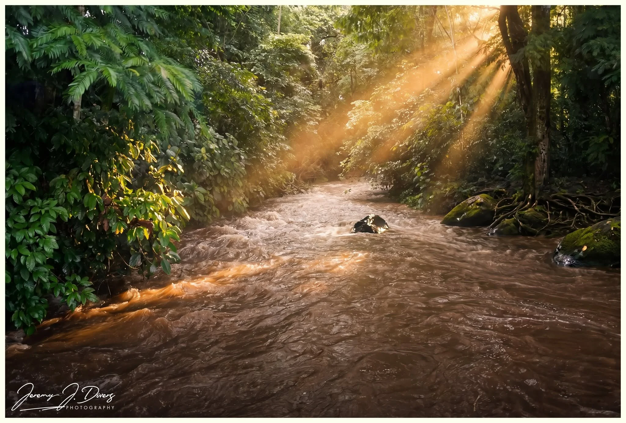 "Golden Current Through the Rainforest" Finca Educativa Don Juan in La Fortuna, Costa Rica