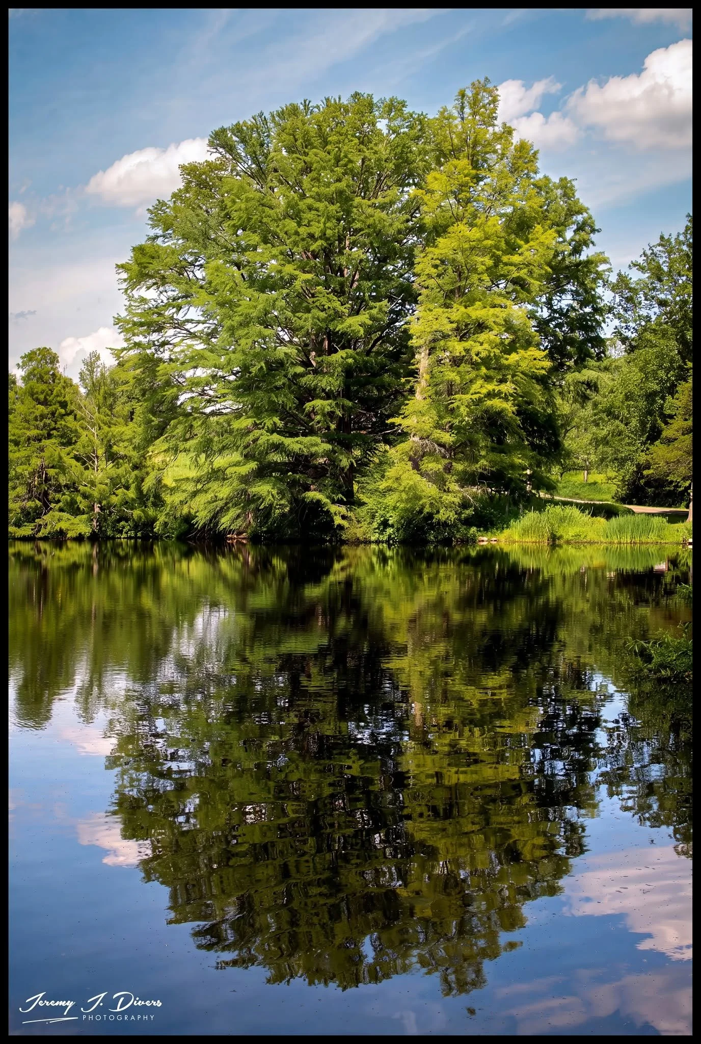 "Views from Cypress Lake," (H) Shaw Nature Reserve, Gray Summit, MO