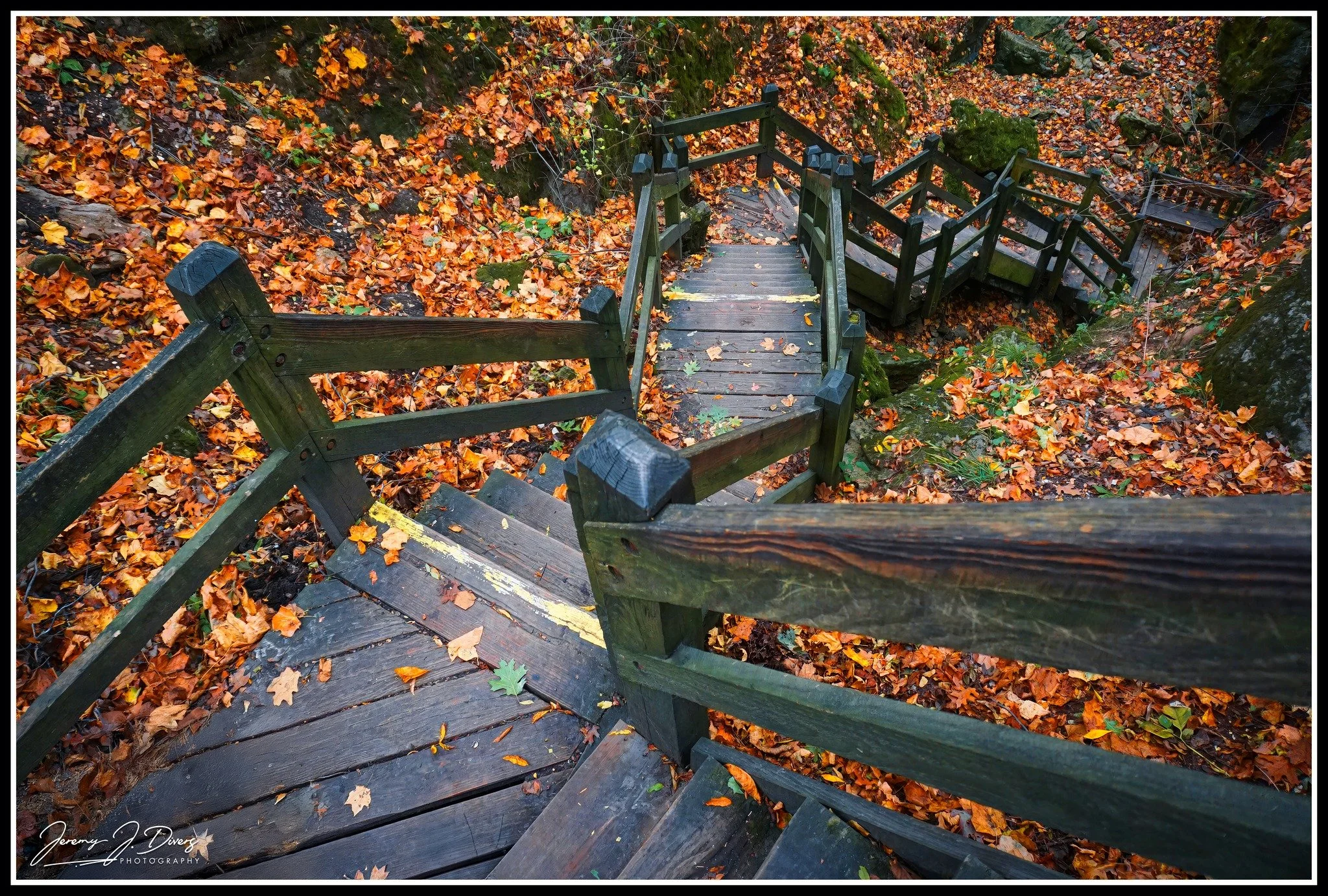"Descending the Stairs" Rockbridge State Park, Columbia, MO