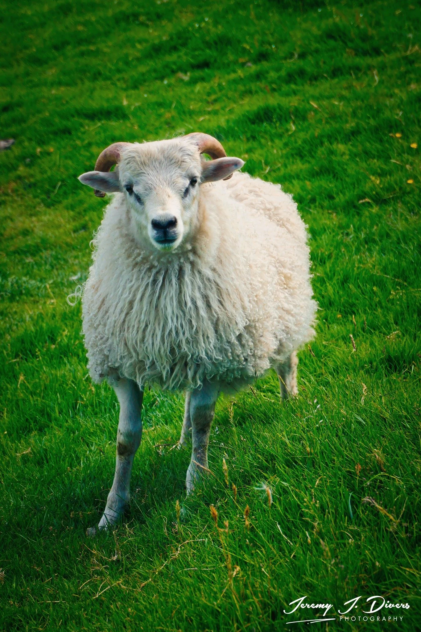 "Residents of Kalsoy Island" (E)