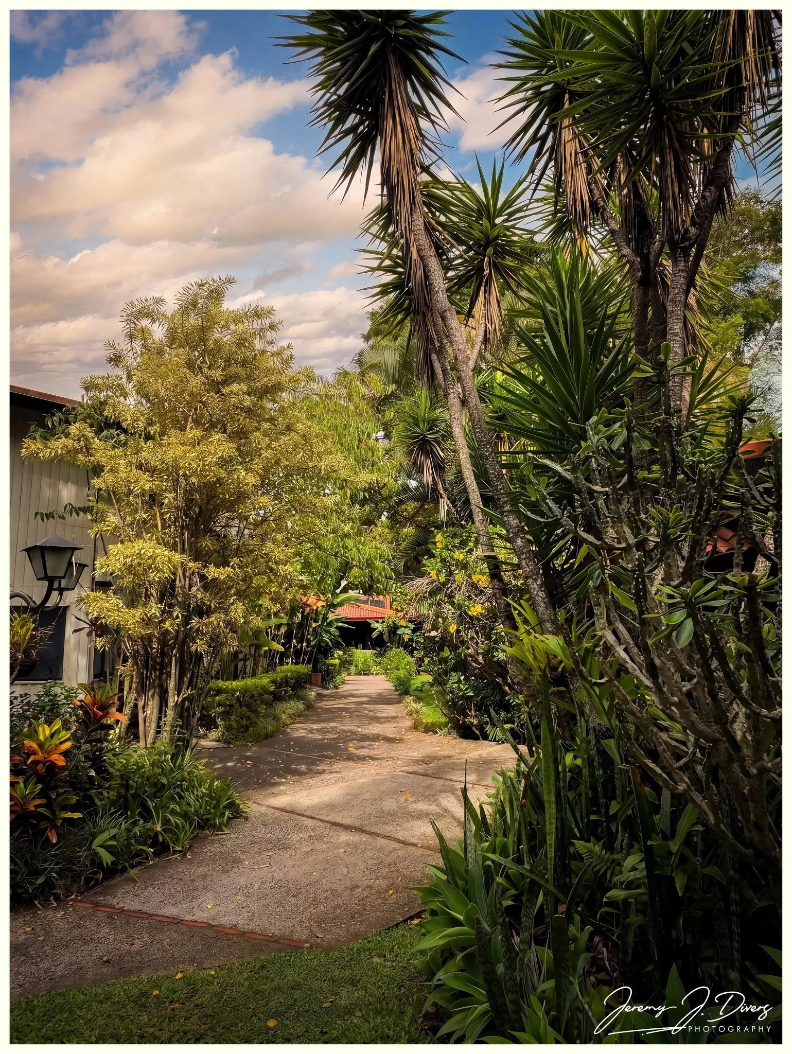 “Pathway Through Paradise” Café Britt, San Jose, Costa Rica