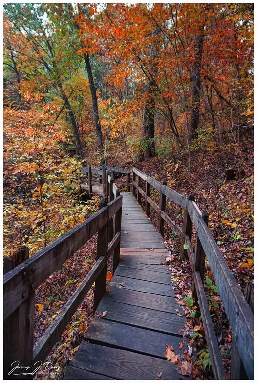 "Autumn Along the Boardwalk" Rockbridge State Park, Columbia, MO