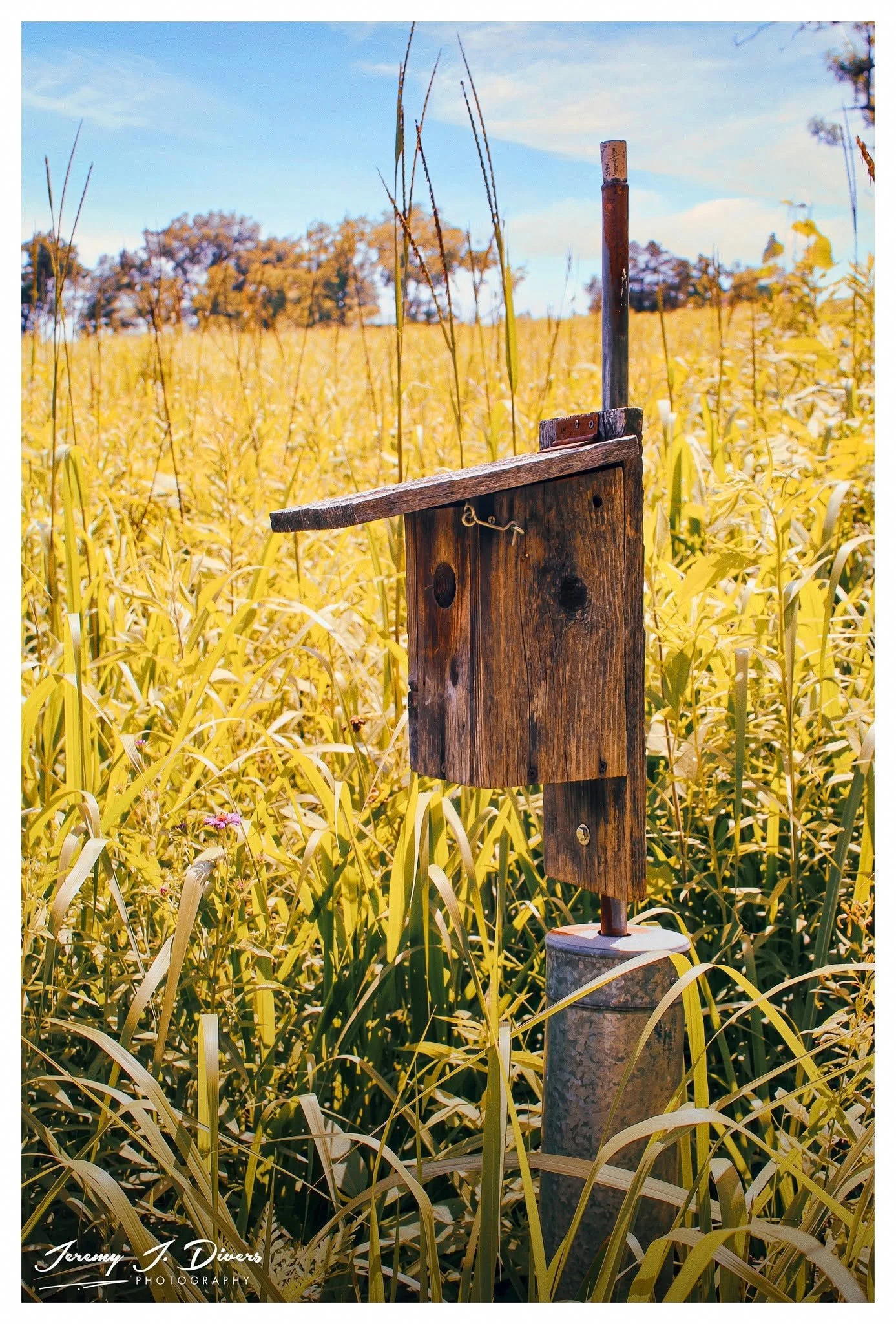 "Prairie Bird House" Shaw Nature Reserve, Gray Summit, MO