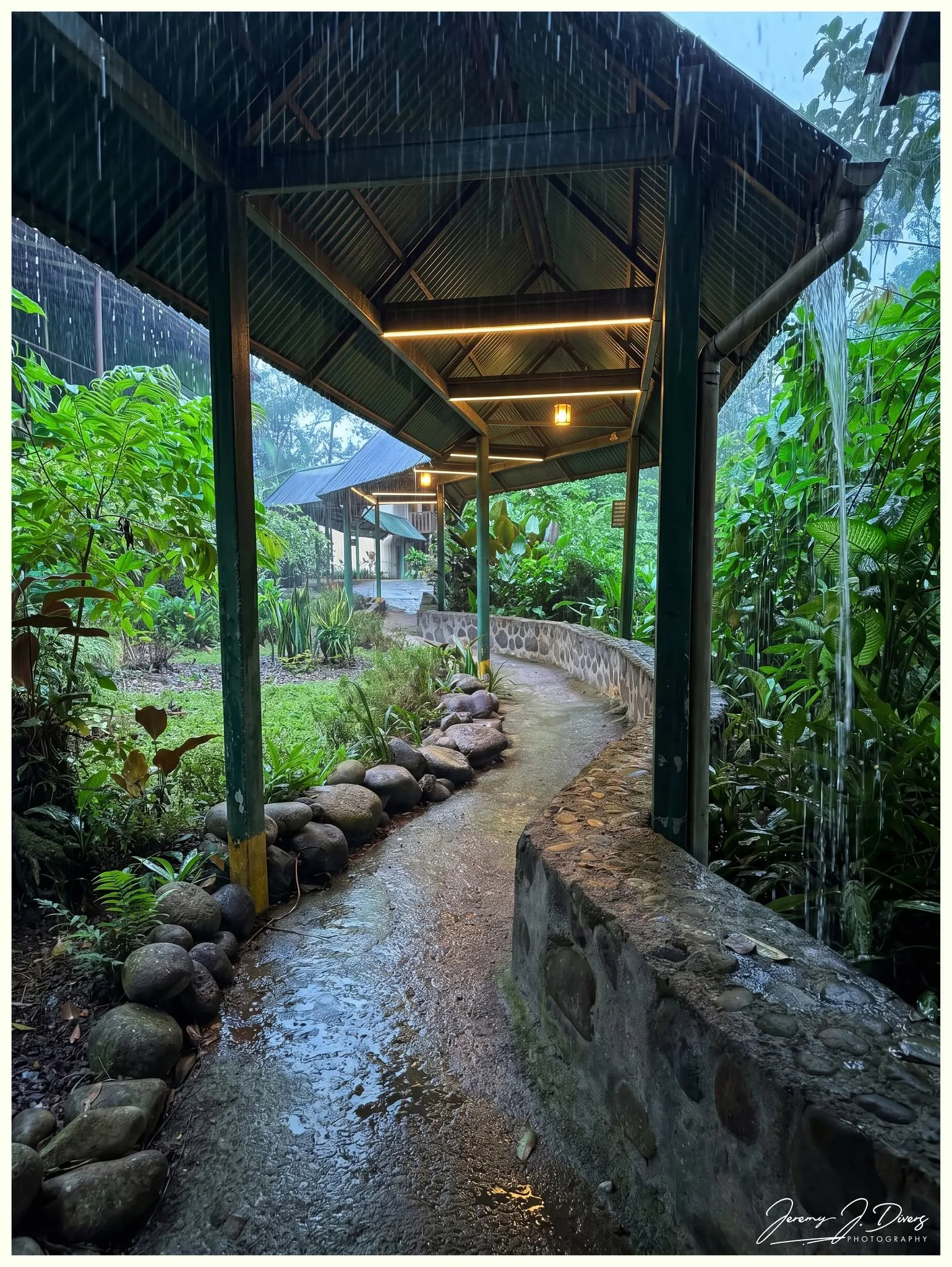 "Beneath the Rain-Soaked Canopy," (A) Selva Verde Lodge, Sarapiquí, Costa Rica